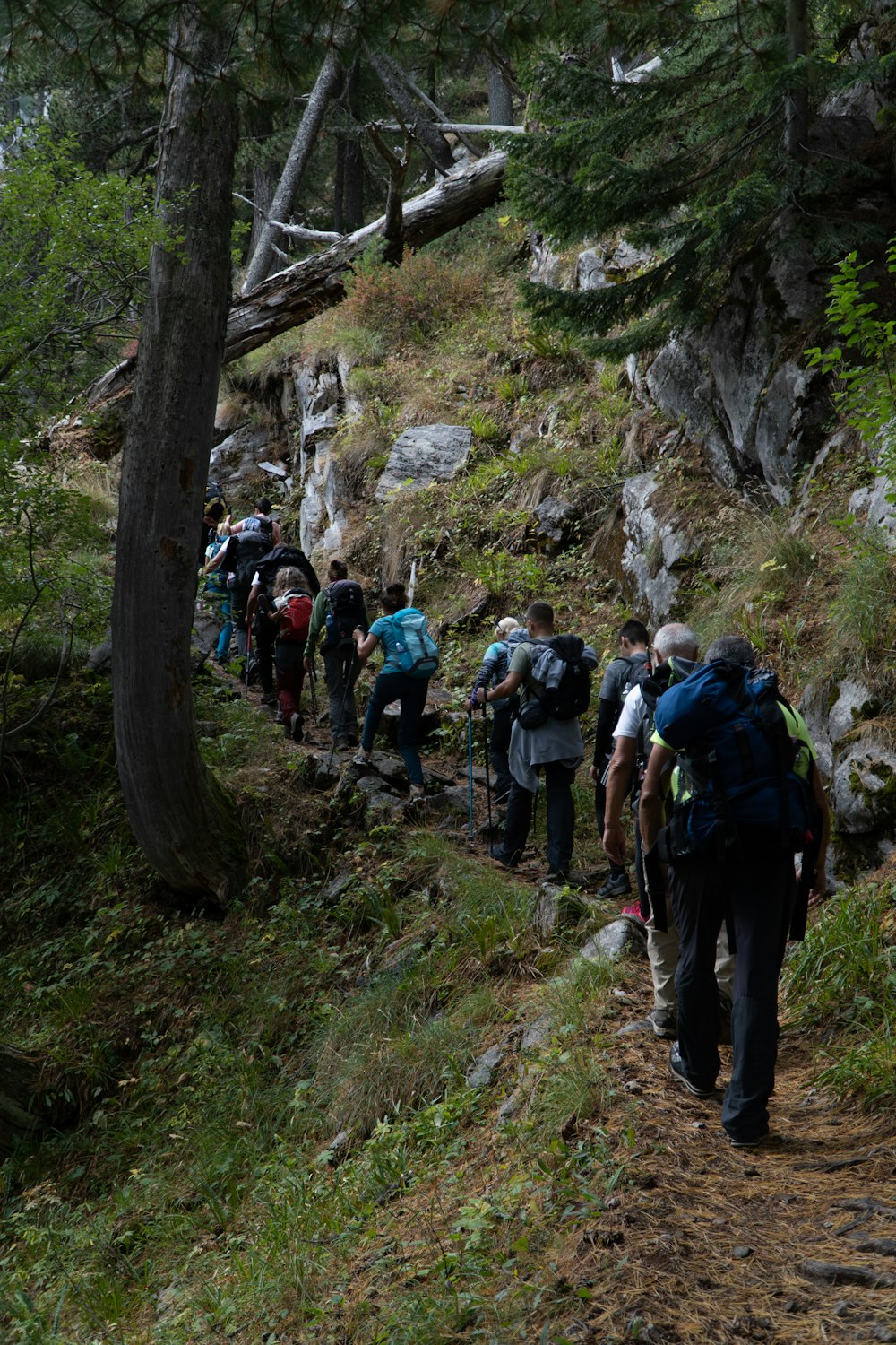 a group of people hiking up a hill