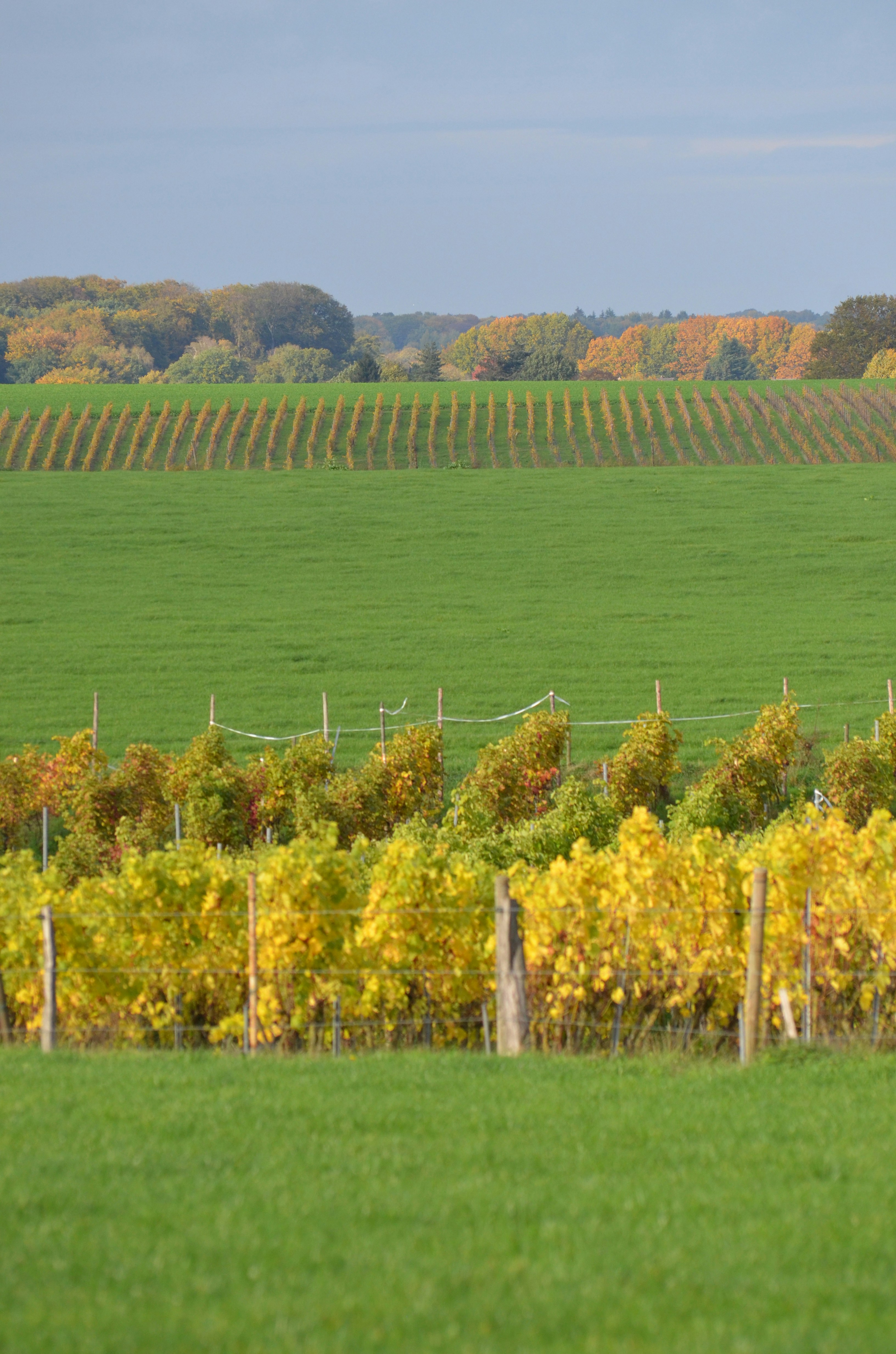 Photo by lamartine55