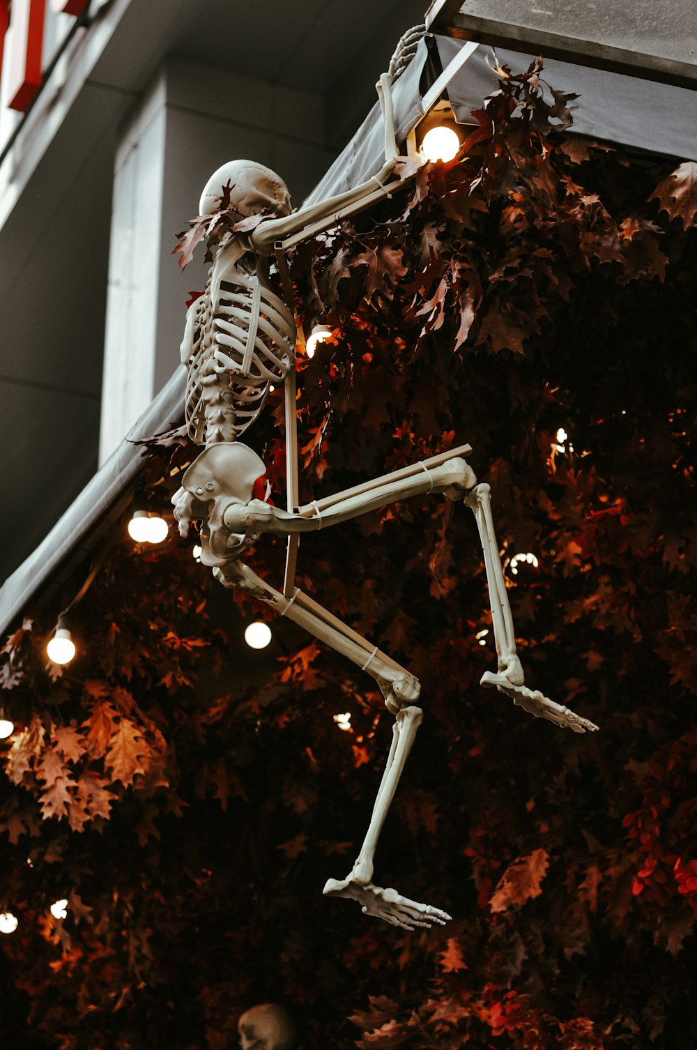 a skeleton hanging from the side of a building