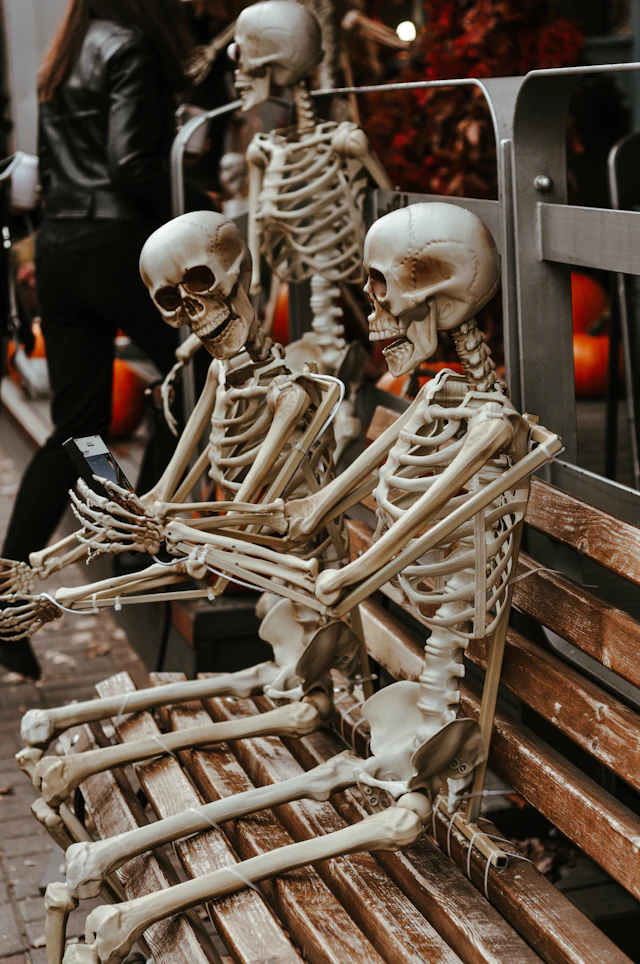 Skeleton decorations sitting on a wooden bench