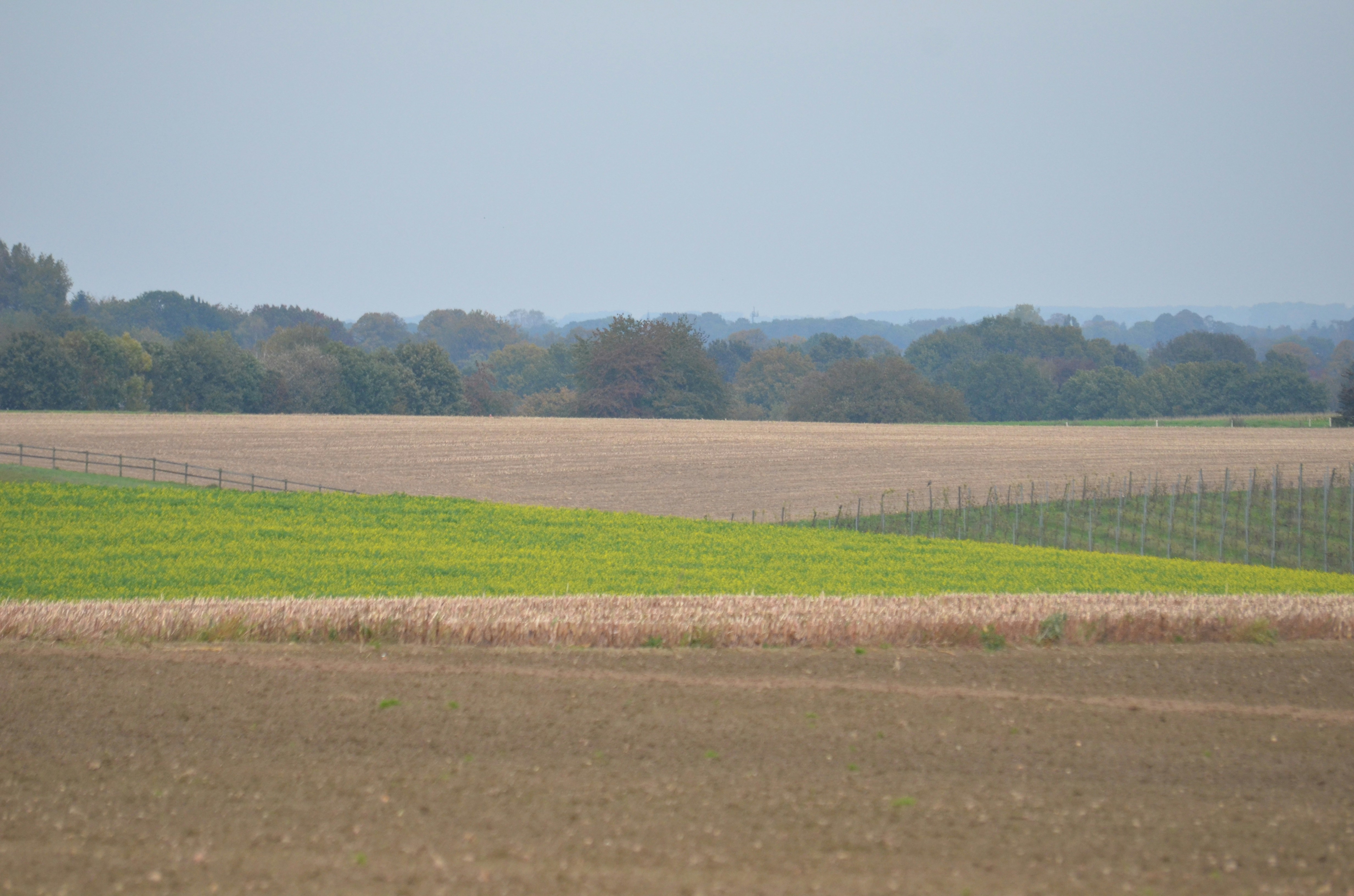 Photo by lamartine55