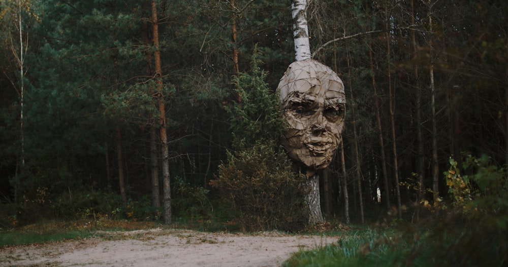a face carved into the side of a tree in a forest