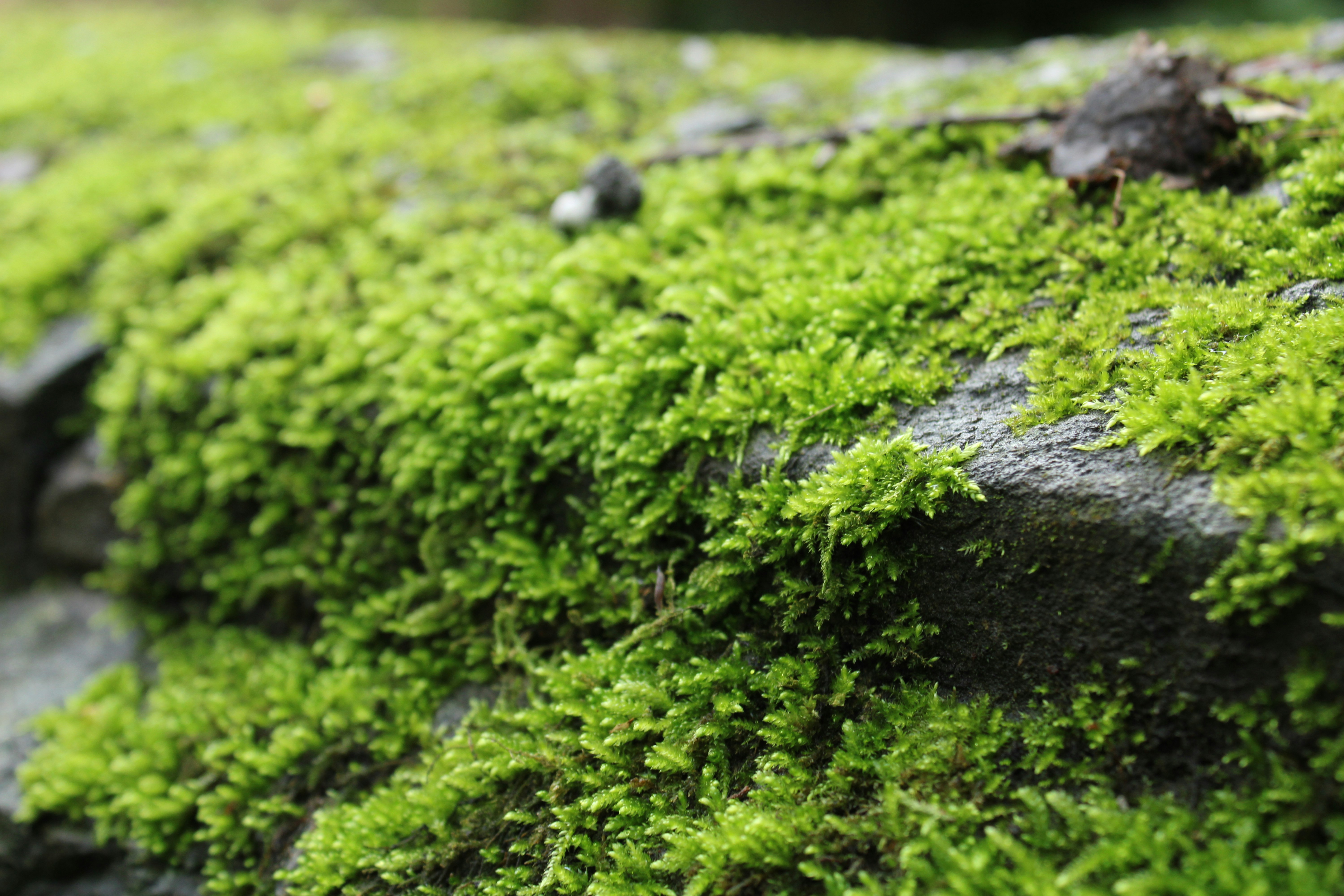 Photo by ivyd_design