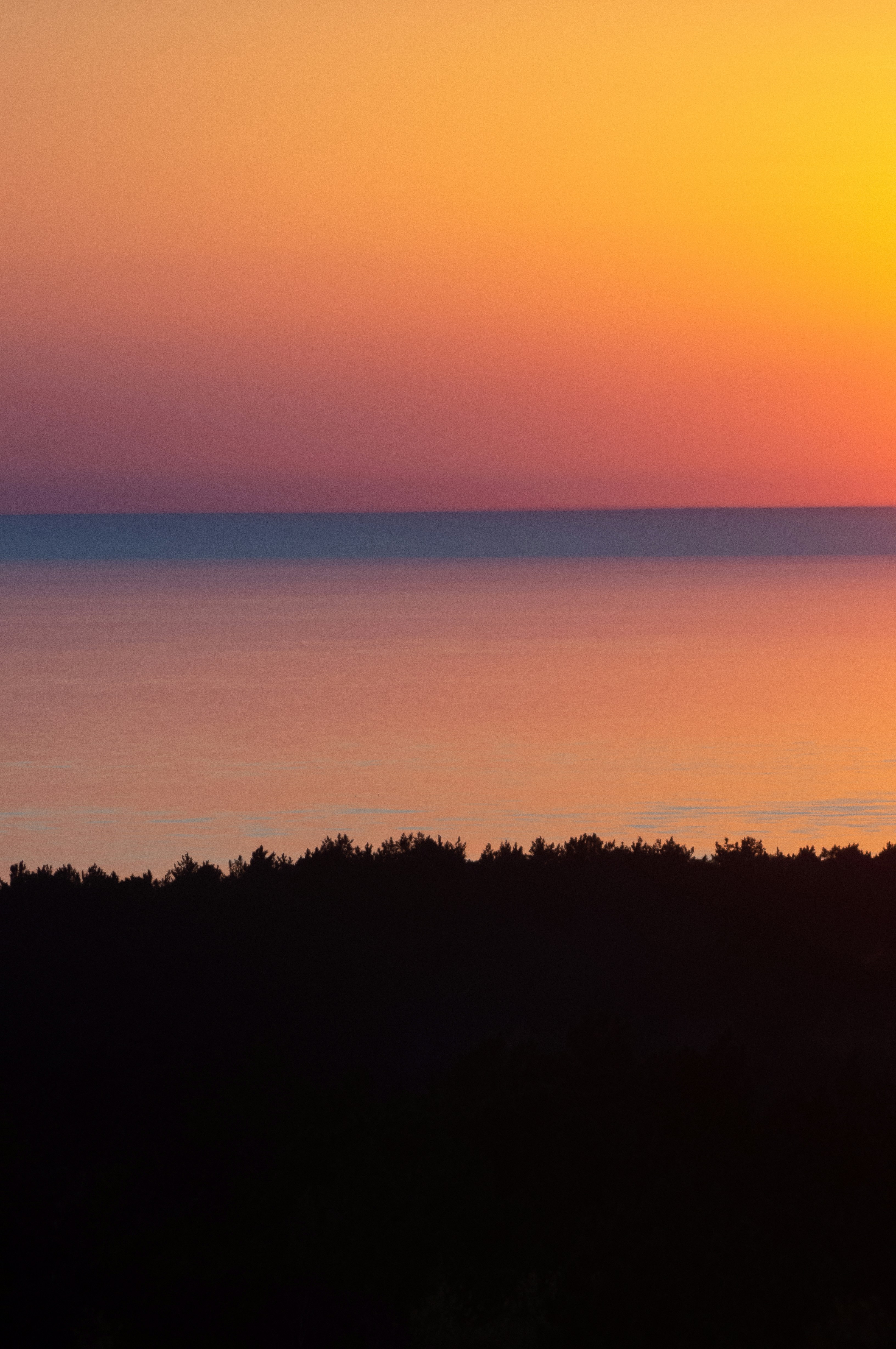 Photo by batondamdinov