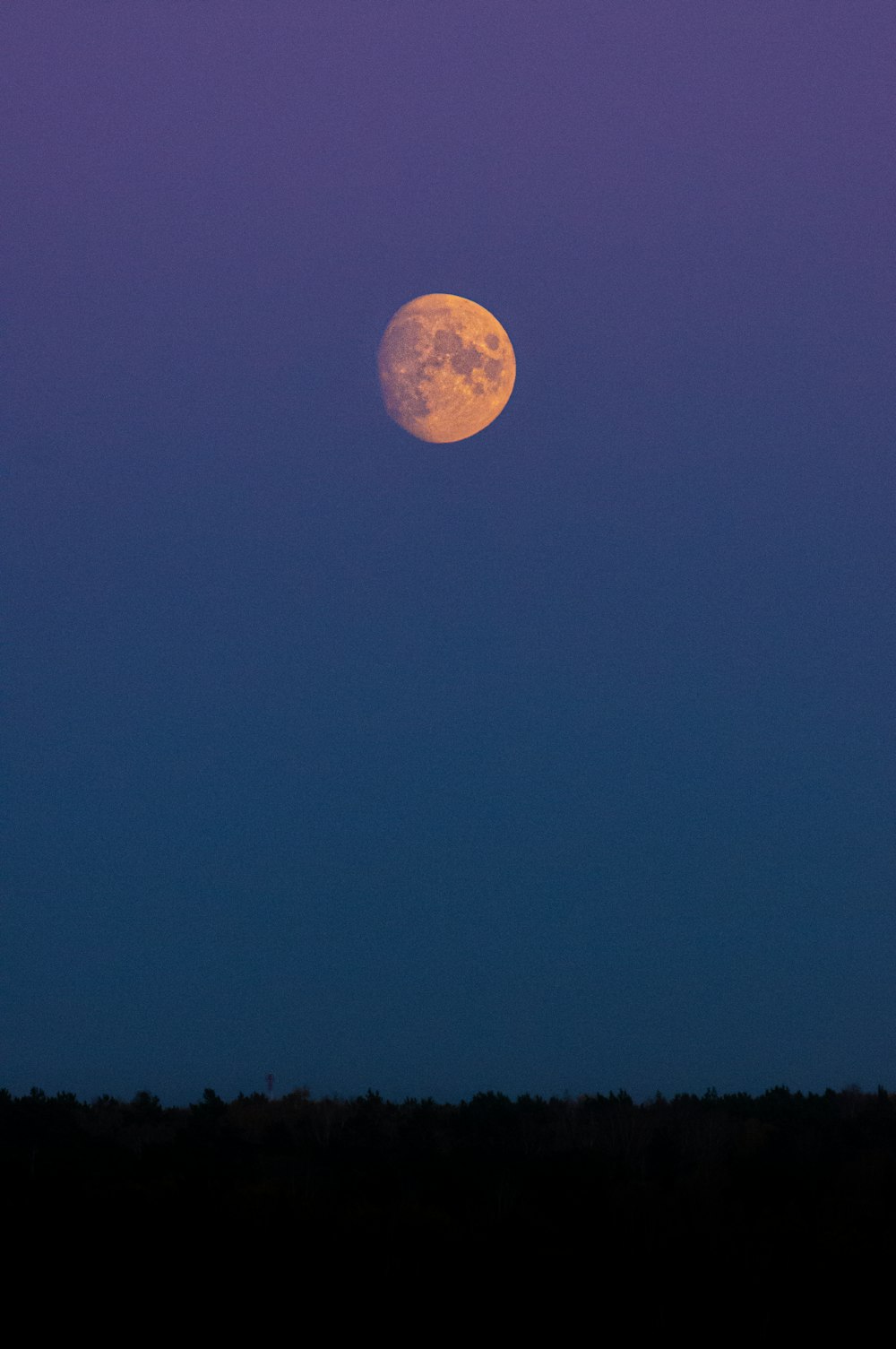 a full moon is seen in the sky above trees