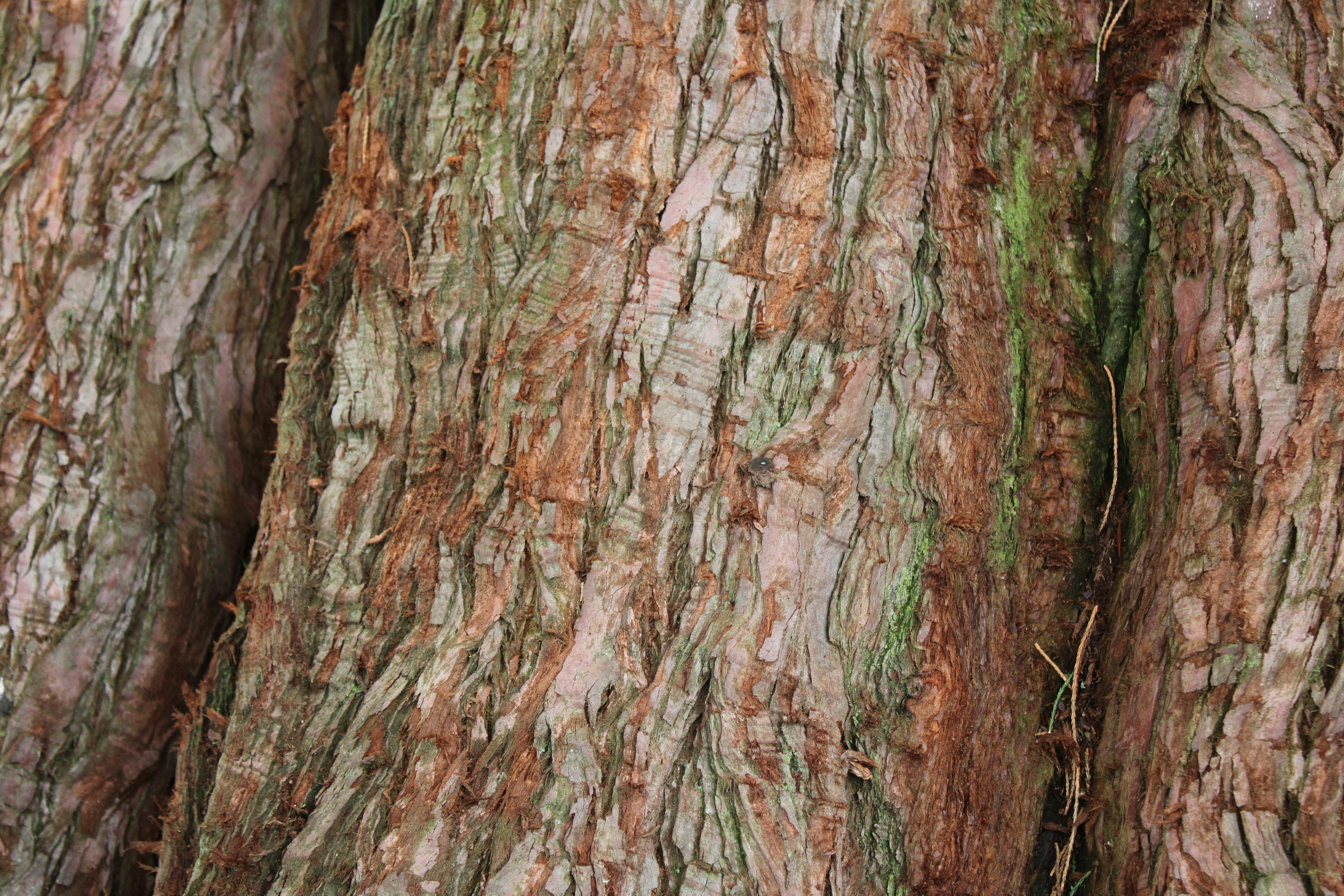 Photo by ivyd_design