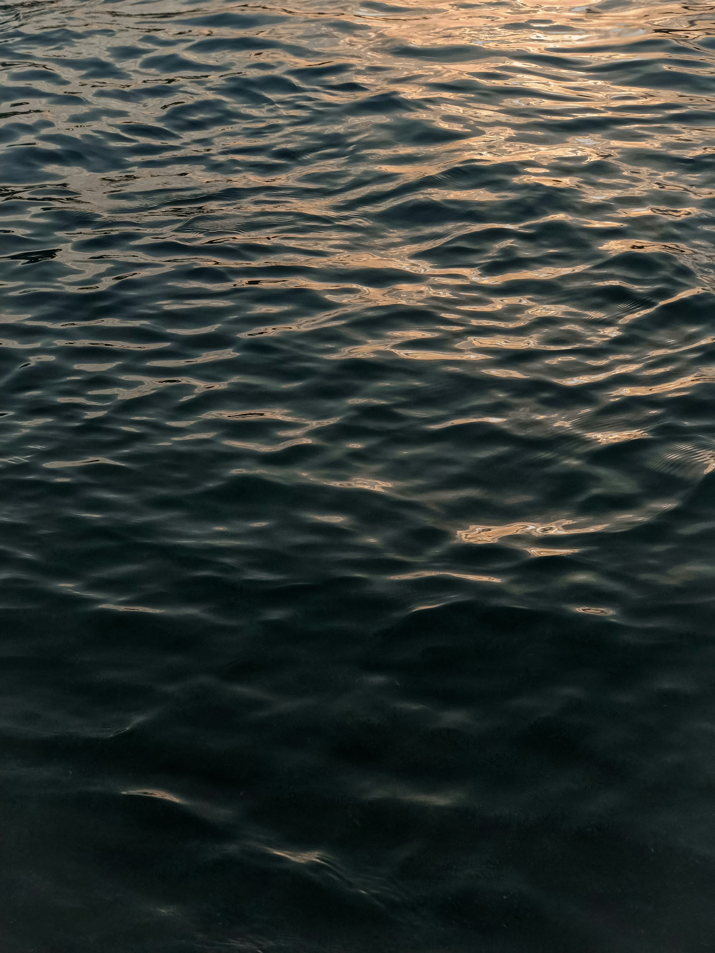 Photo by annamashtakova