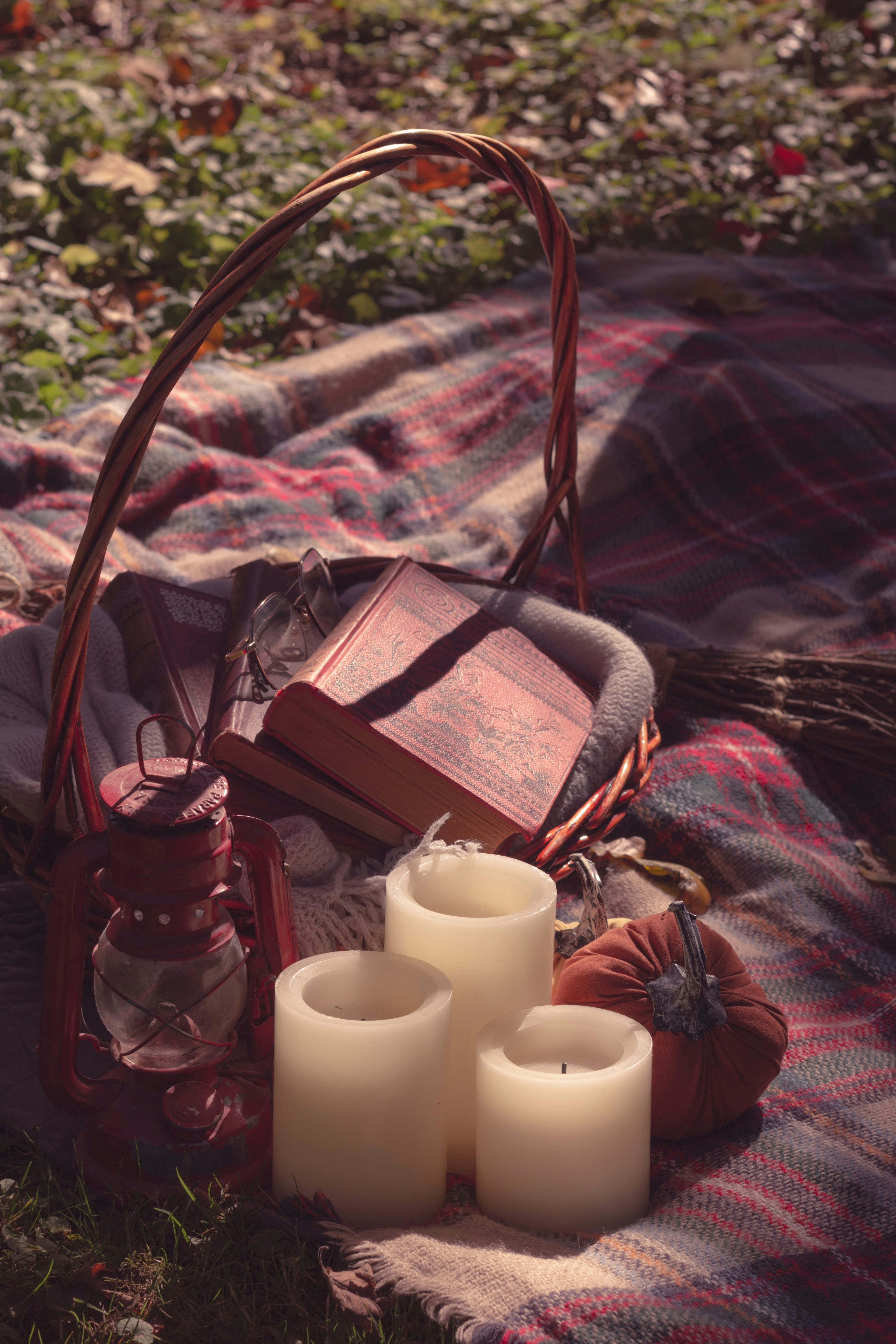 Photo by rosebudding94