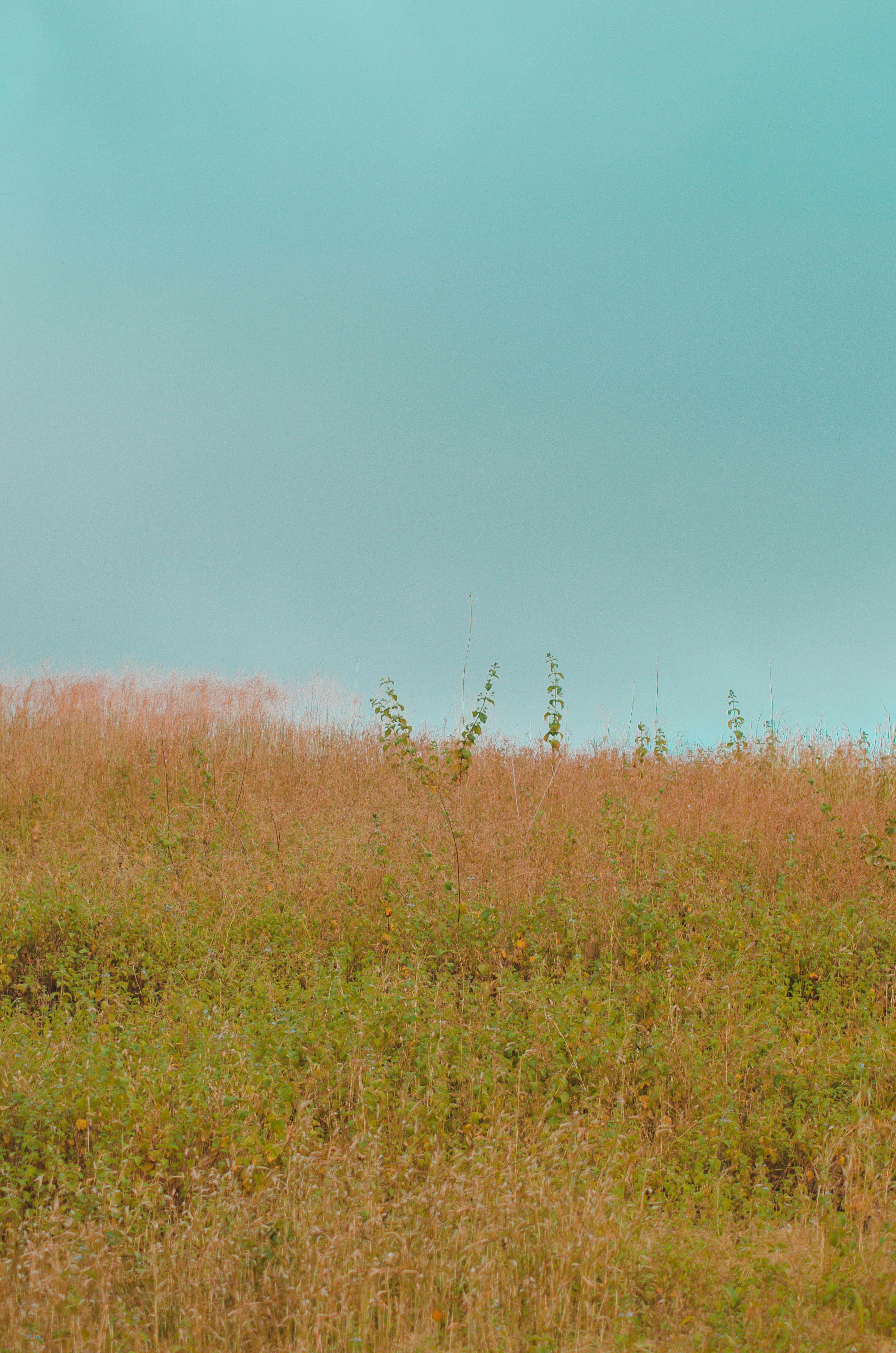 Terreno en Rancho Tecate