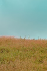 A serene landscape with a blue sky and open fields.