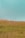 A serene landscape of lush greenery and open land.