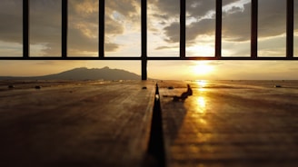 Sunset casting warm light over the large outdoor deck surrounded by nature.