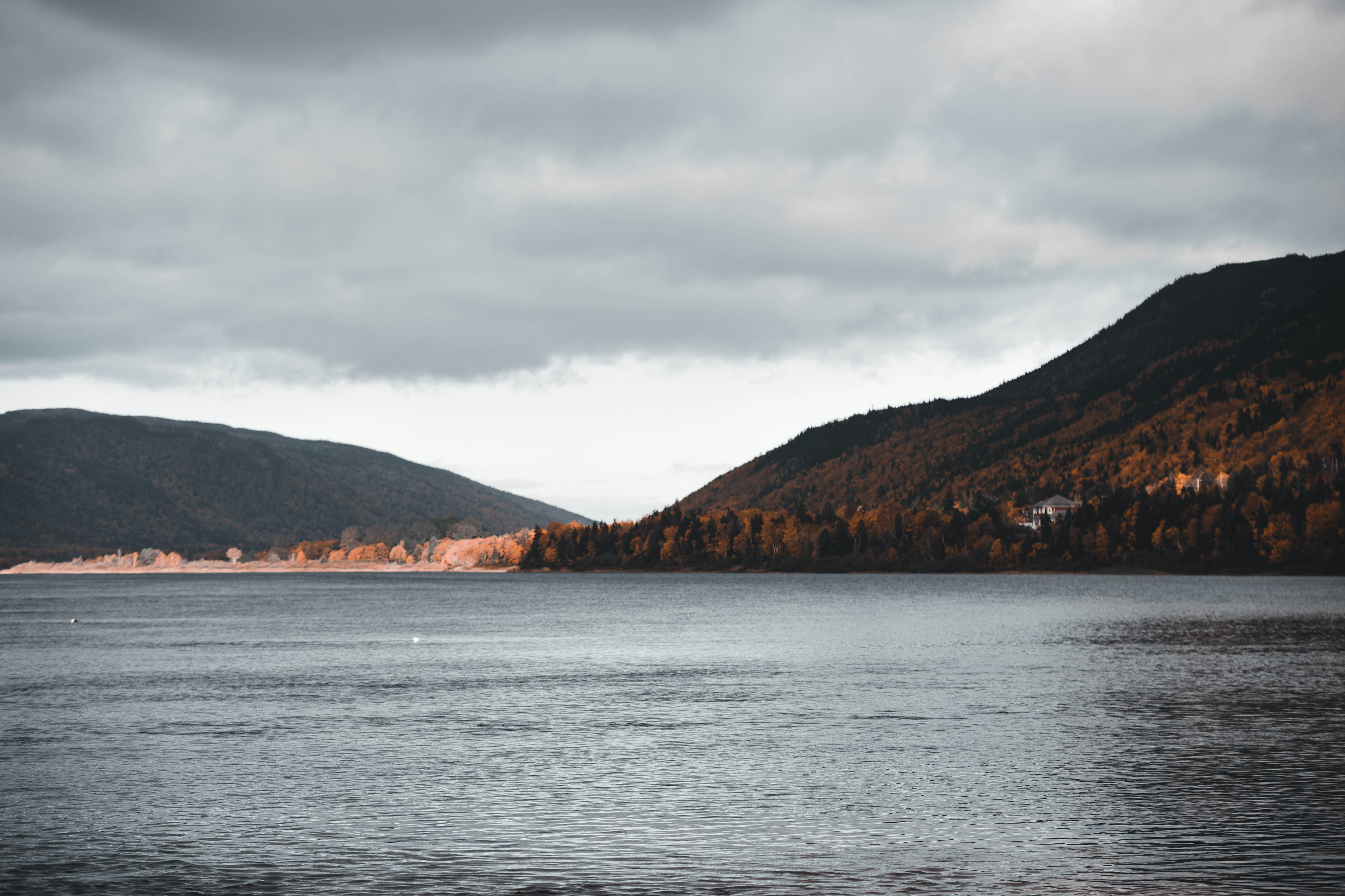 Photo by introspectivedsgn