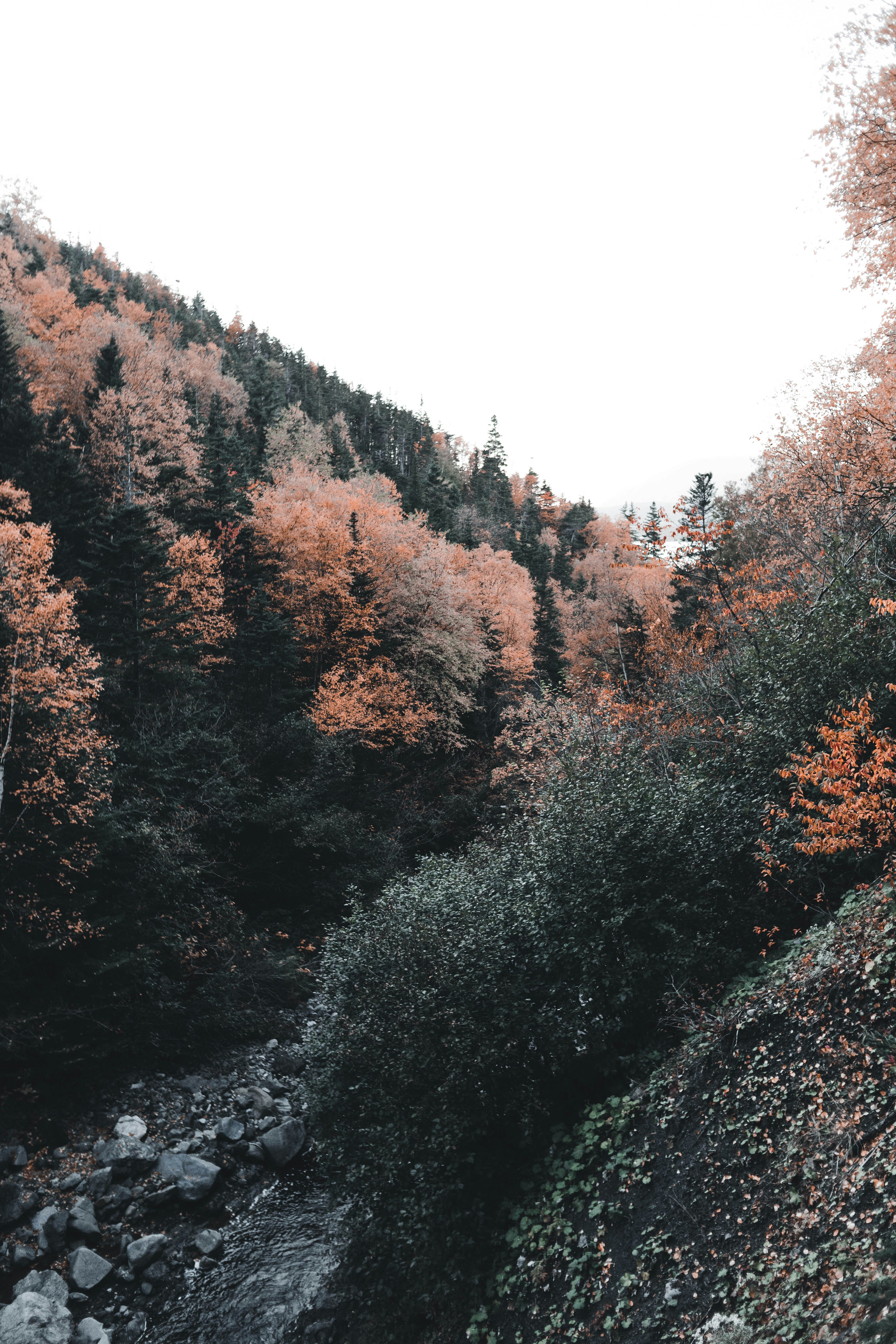 Photo by introspectivedsgn