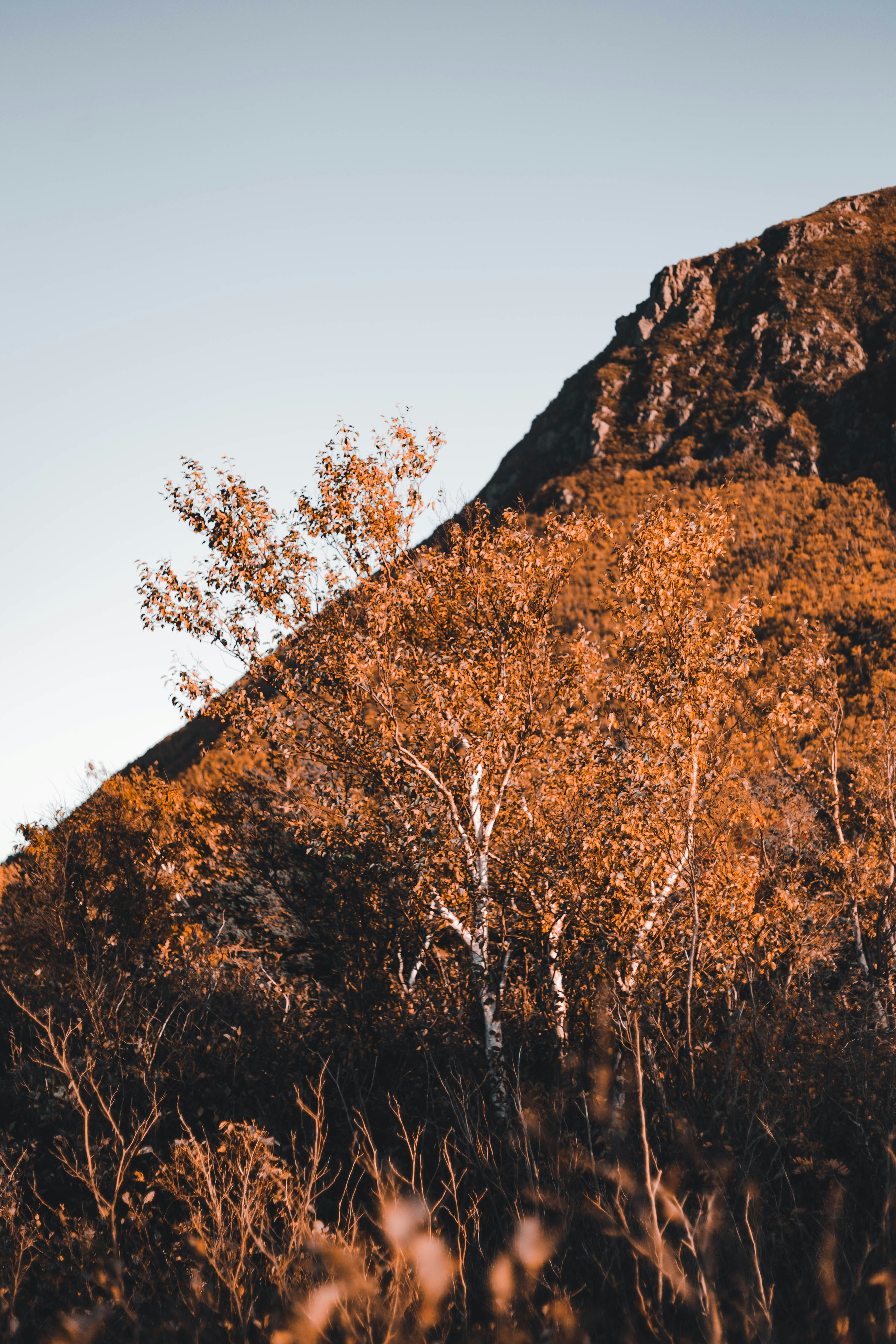 Photo by introspectivedsgn