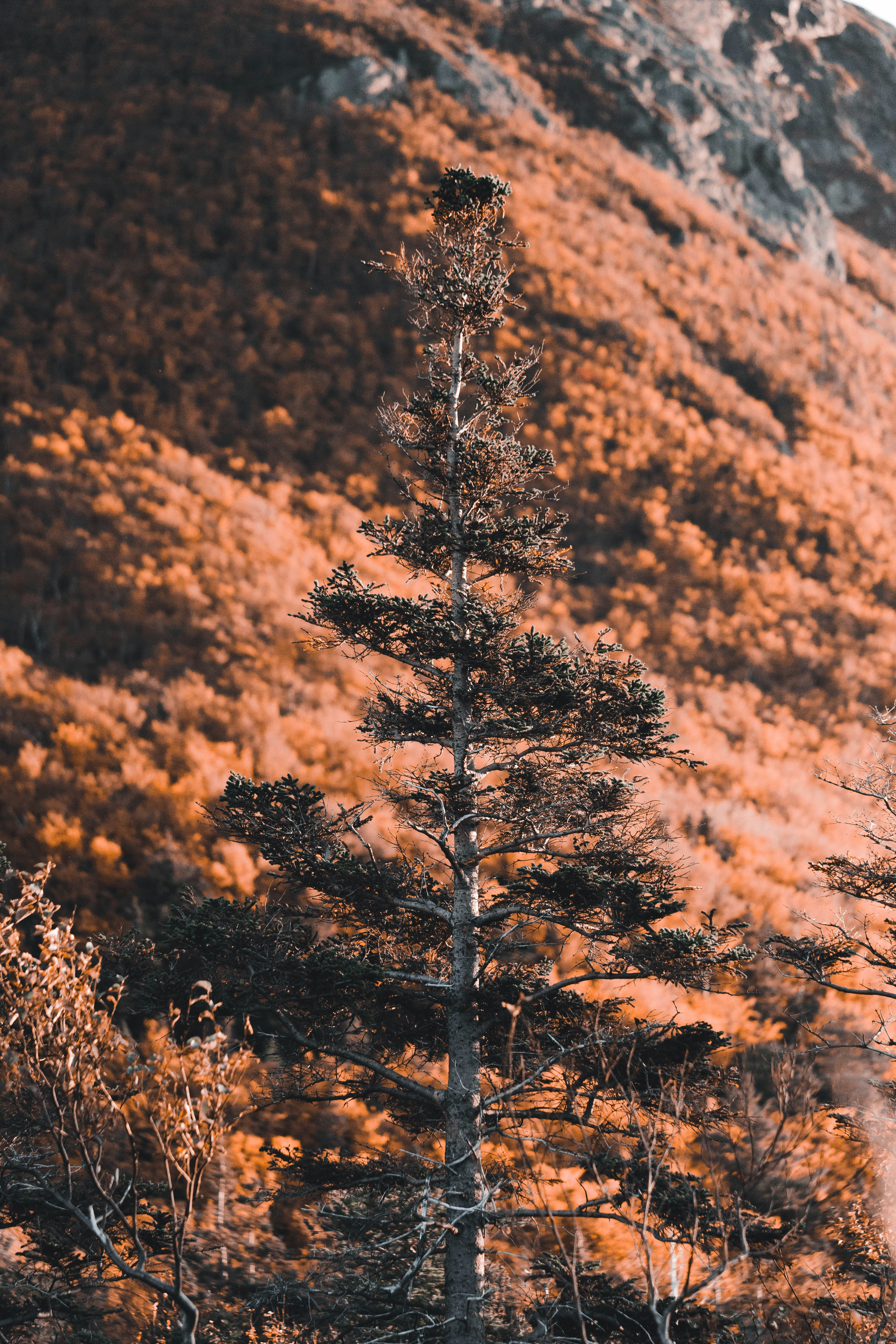 Photo by introspectivedsgn