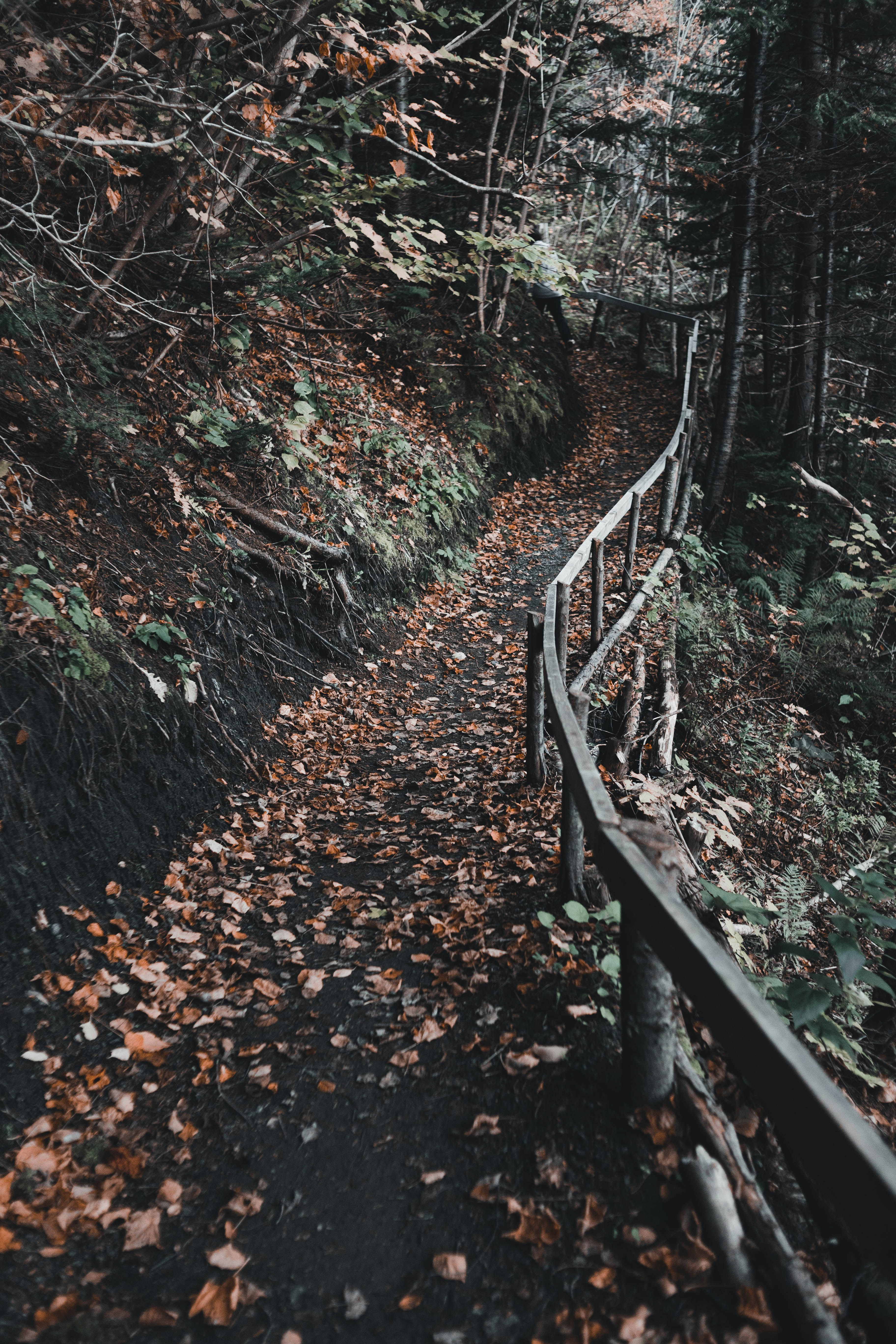Photo by introspectivedsgn