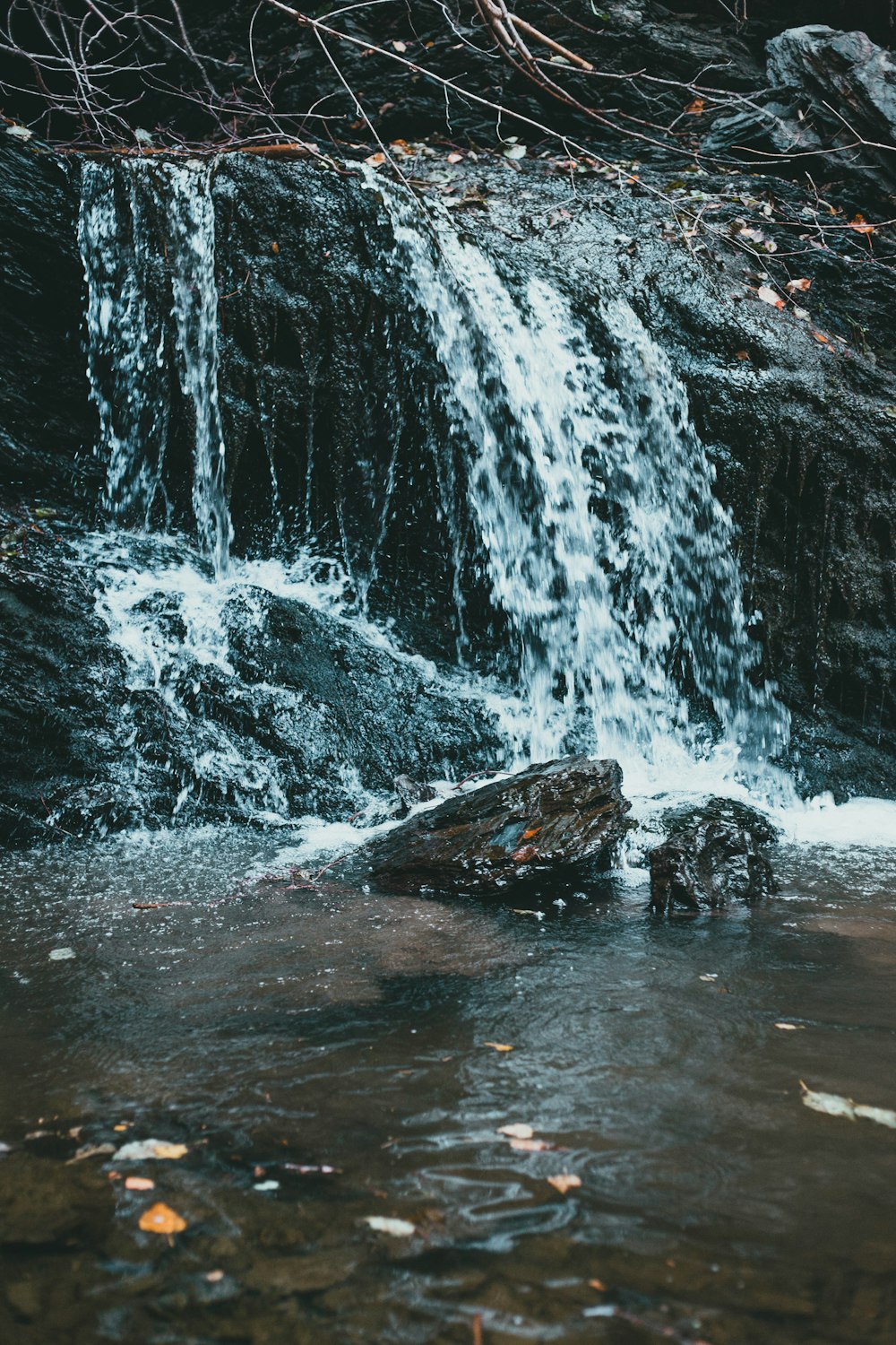 Une petite cascade au milieu d’une forêt