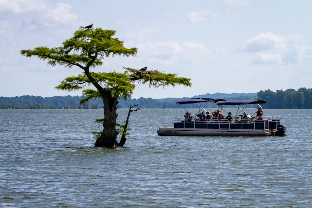 A pontoon boat carrying a full group of passengers on open water