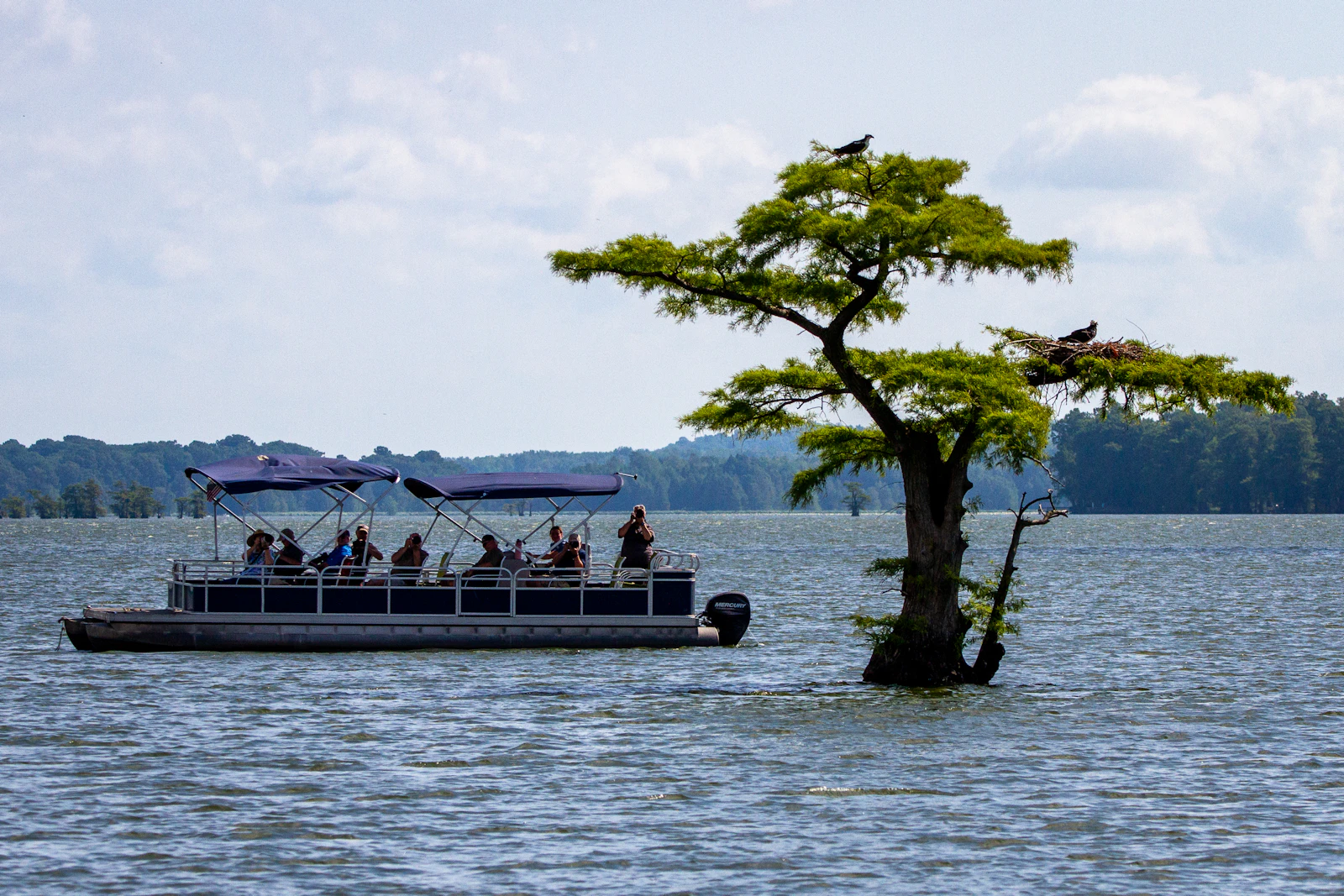 Pontoon vs Tritoon: What the Third Tube Adds and What It Costs