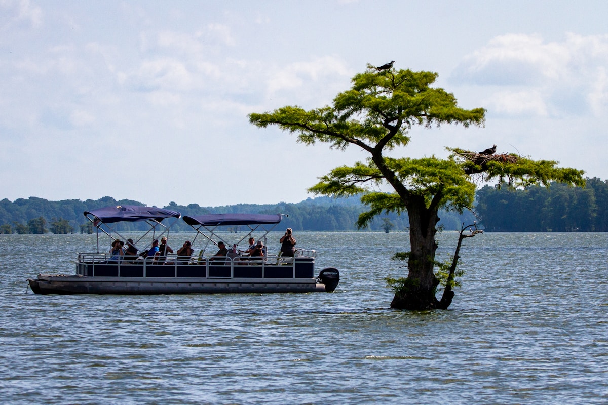 A pontoon boat on a calm lake