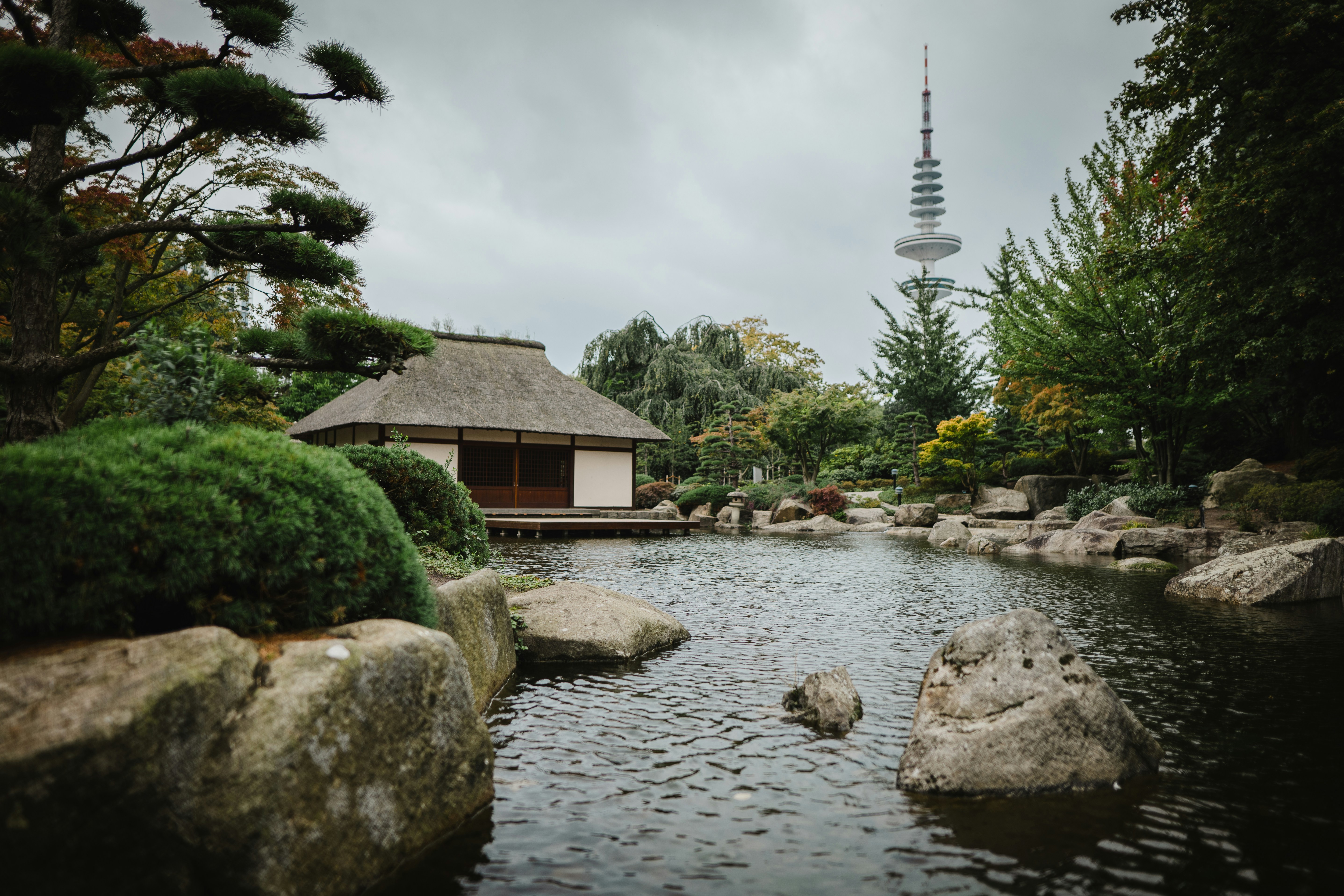 a pond in a garden with rocks and trees
