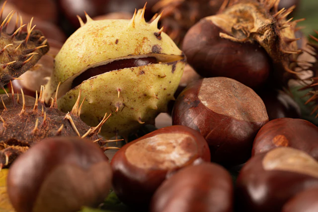 Steamed chestnuts
