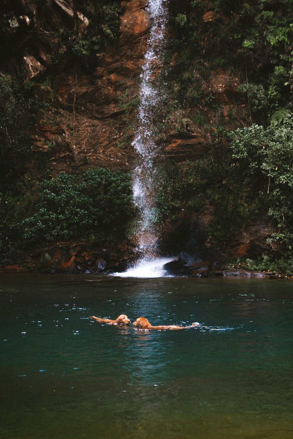 a person swimming in a body of water near a waterfall