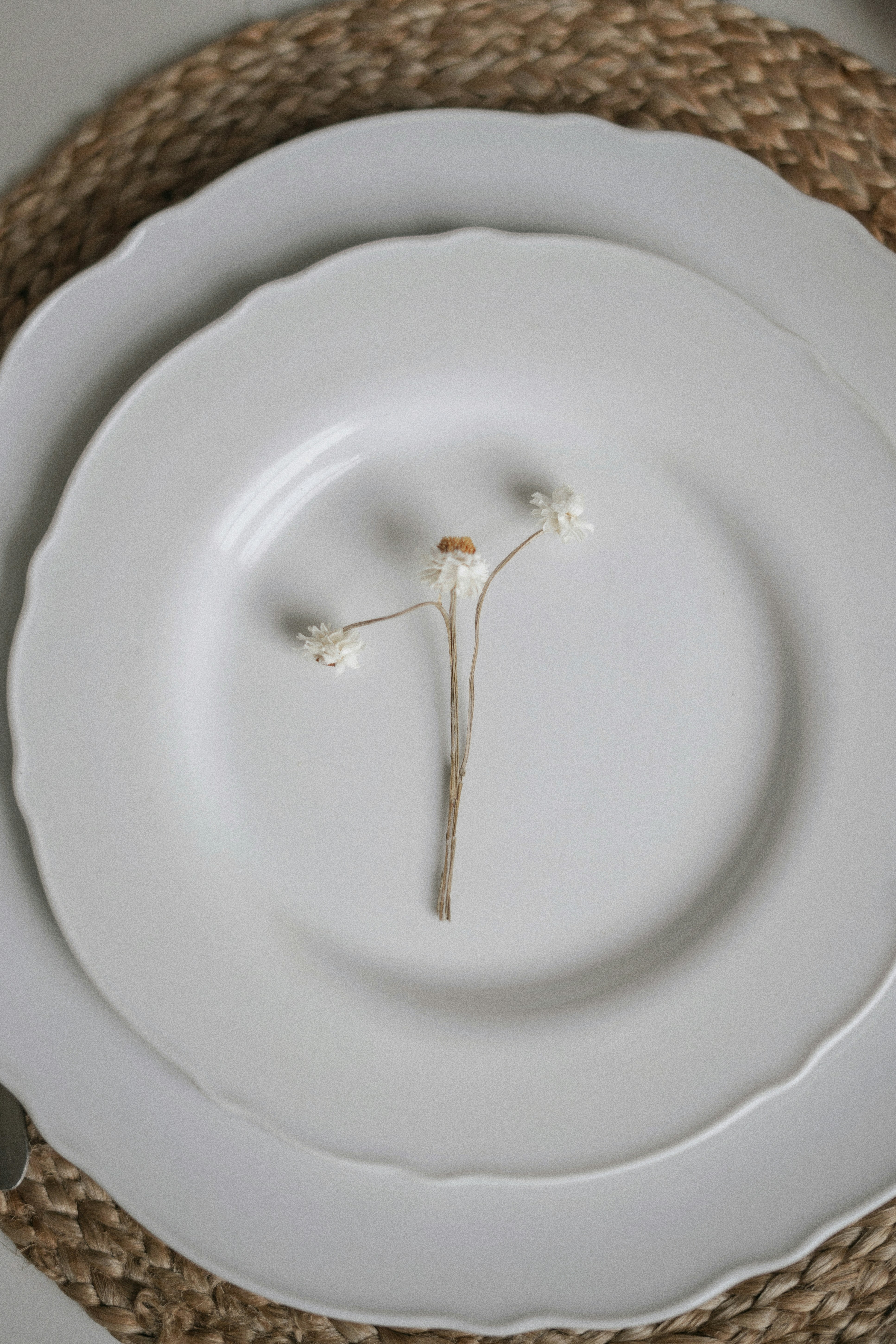 gros plan d’une assiette avec une fleur dessus