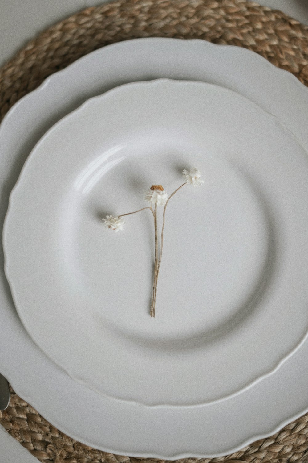 a close up of a plate with a flower on it