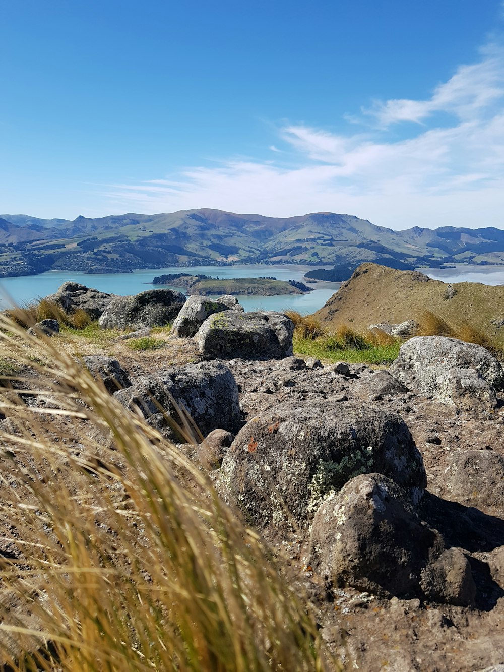 a grassy area with rocks and water in the background