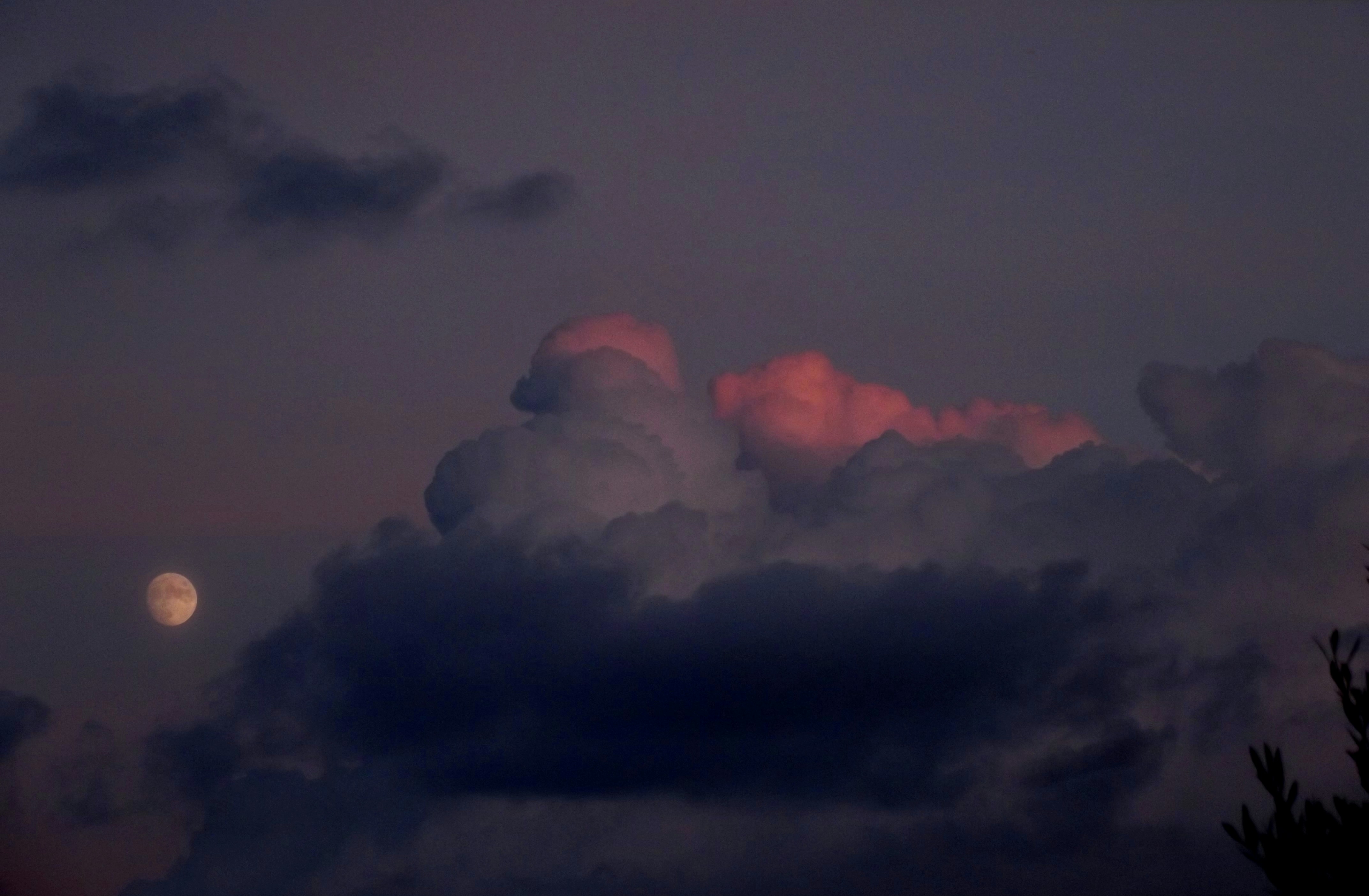 Review: Oracles.Cloud Edge Relay for Hosters — Real‑World Benchmarks & Integration Tips (2026)