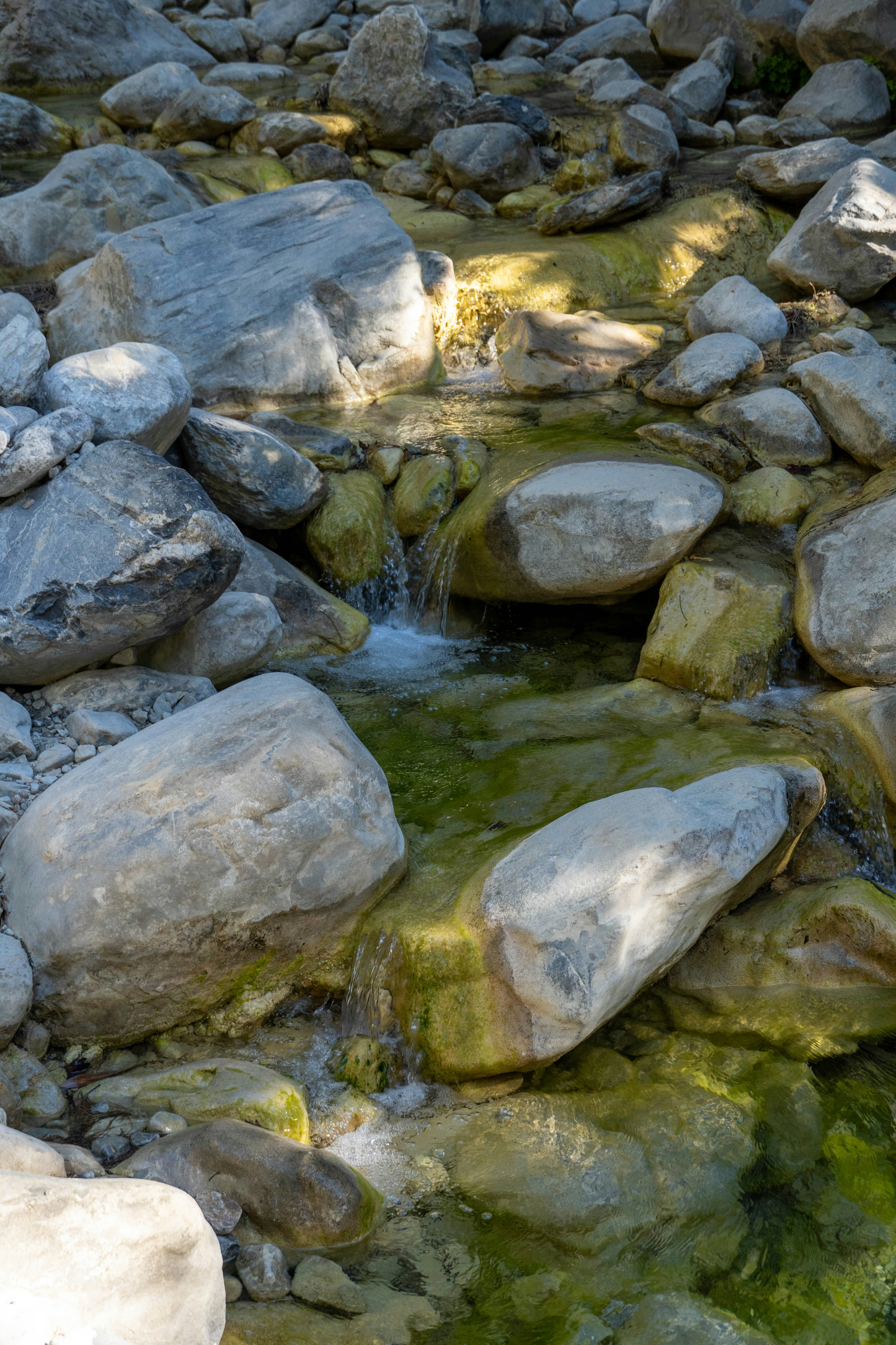 Photo by lostillusion