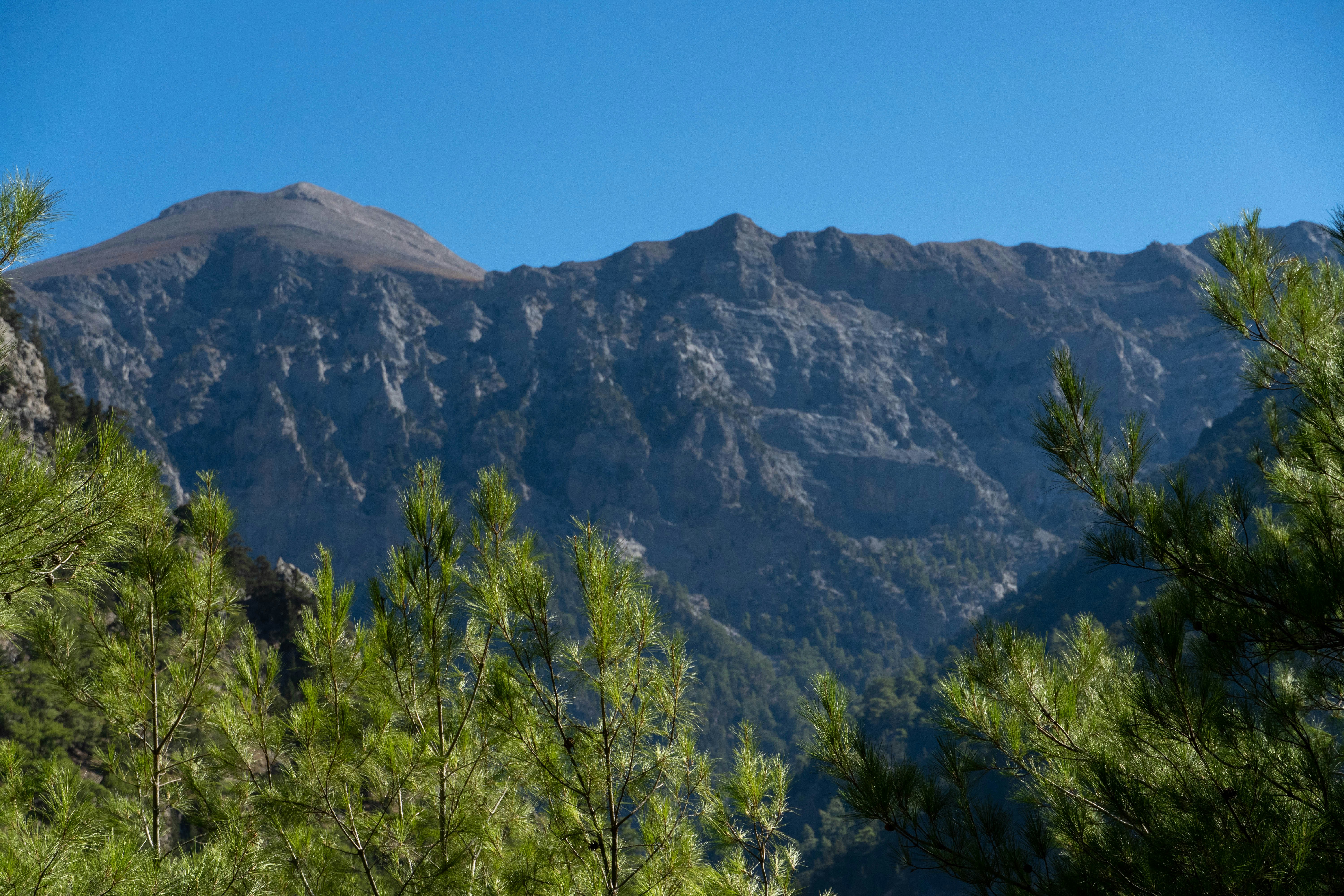 Photo by lostillusion