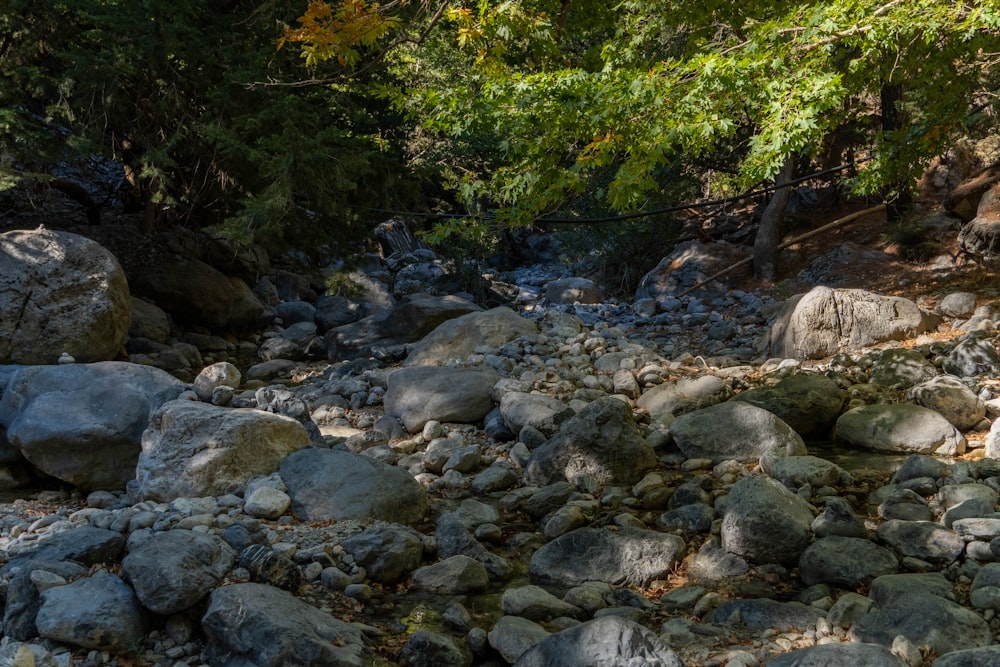 a rocky river bed with rocks and trees in the background