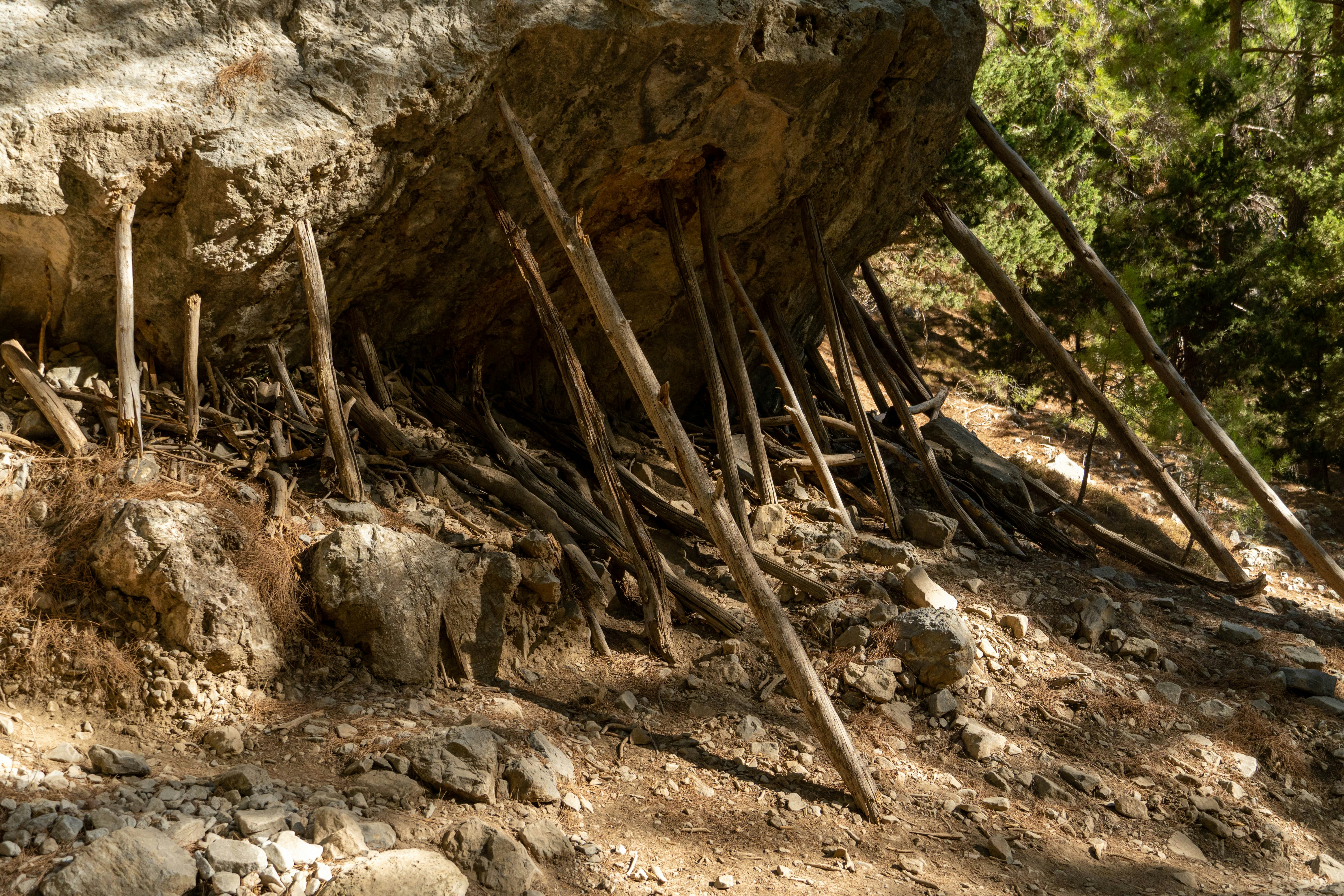 Photo by lostillusion