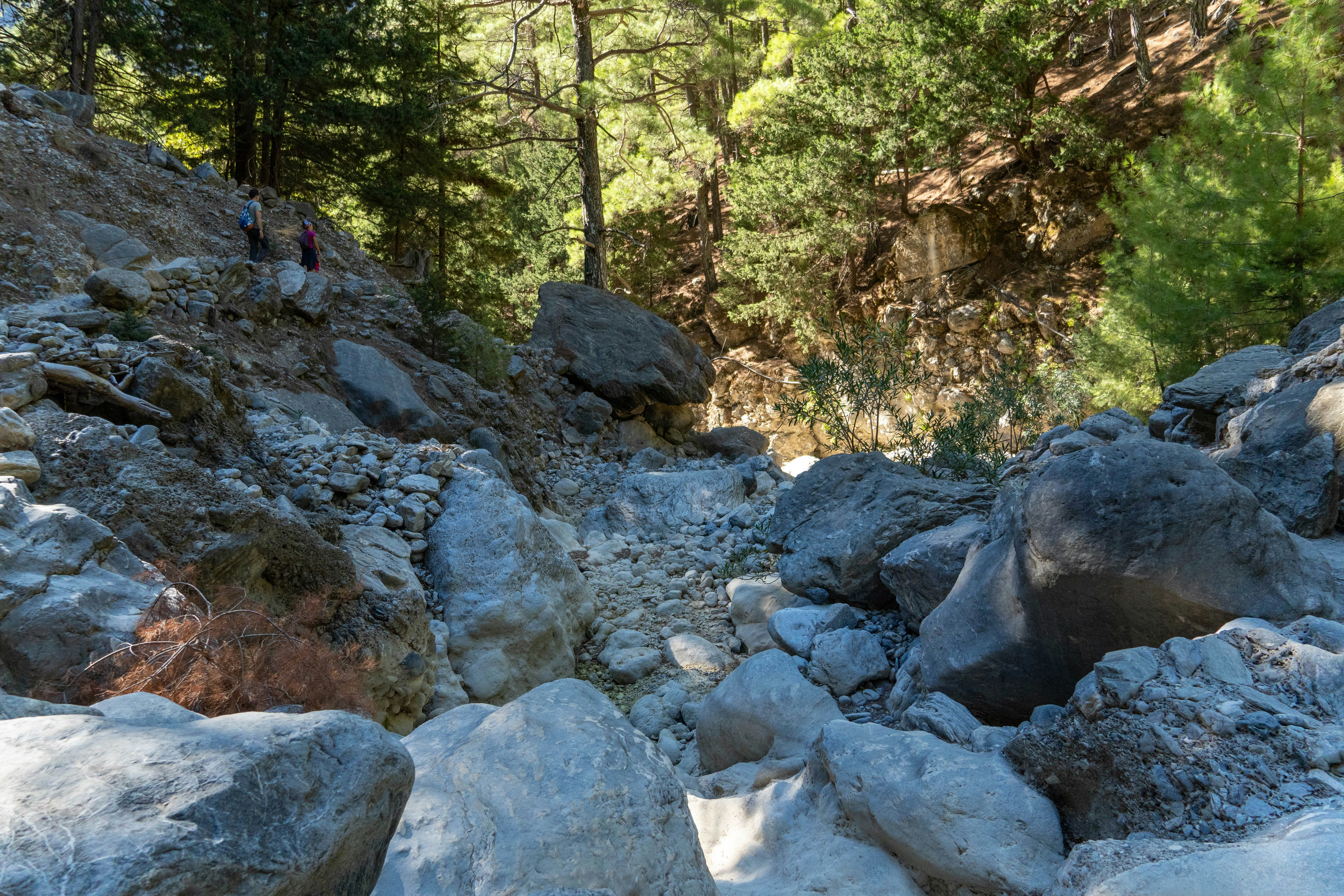 Photo by lostillusion