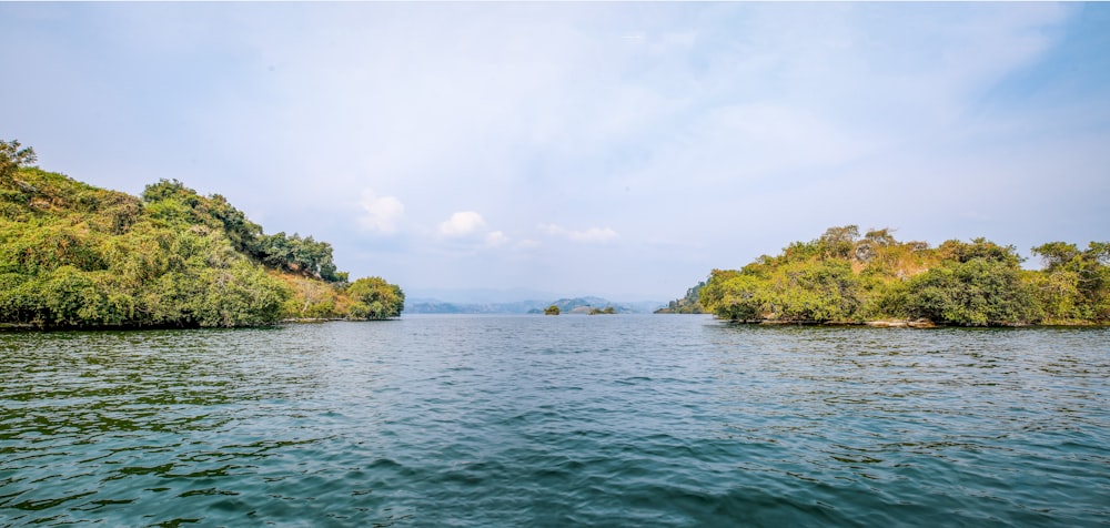 a body of water surrounded by lush green trees