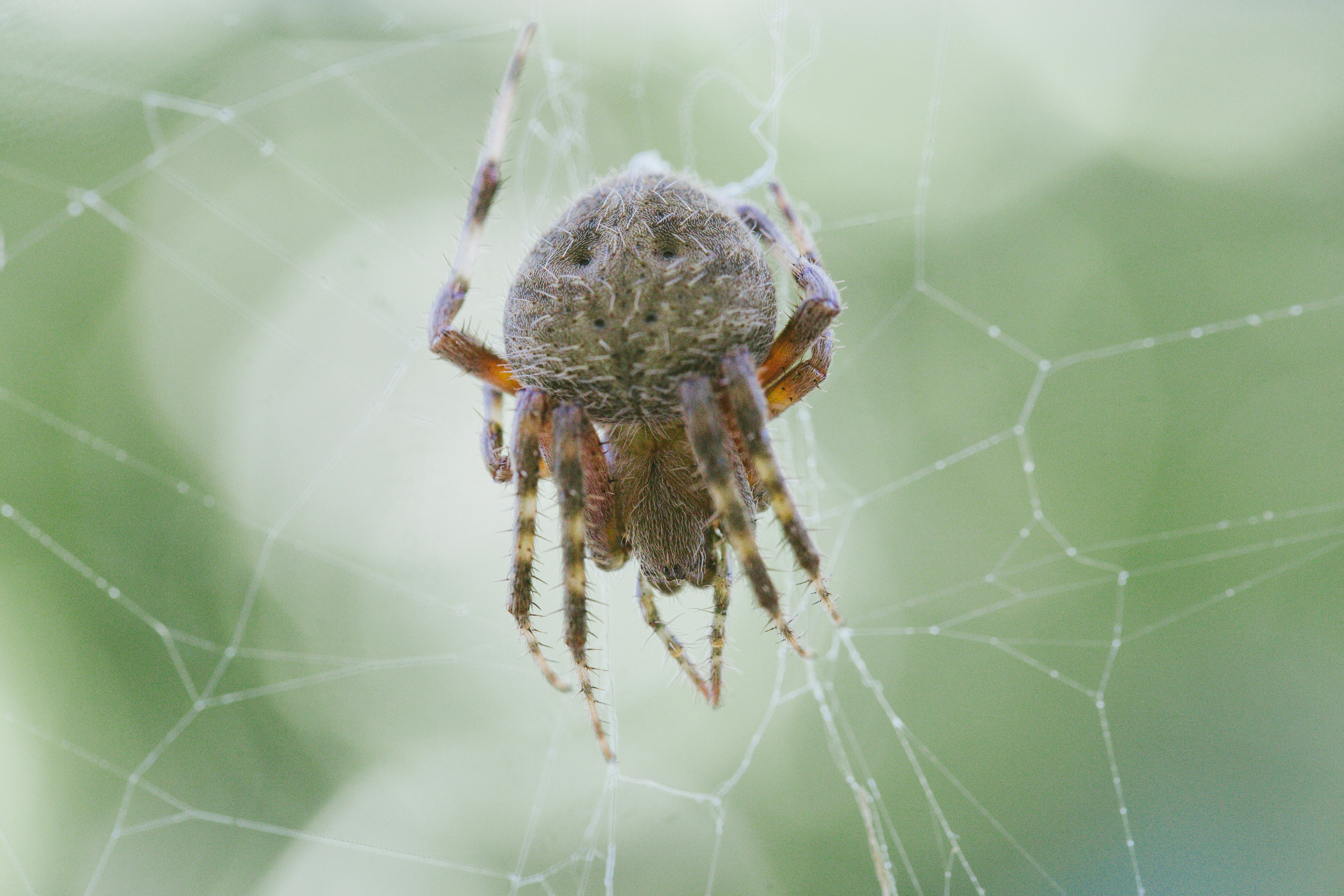 Photo by vivitergovivo