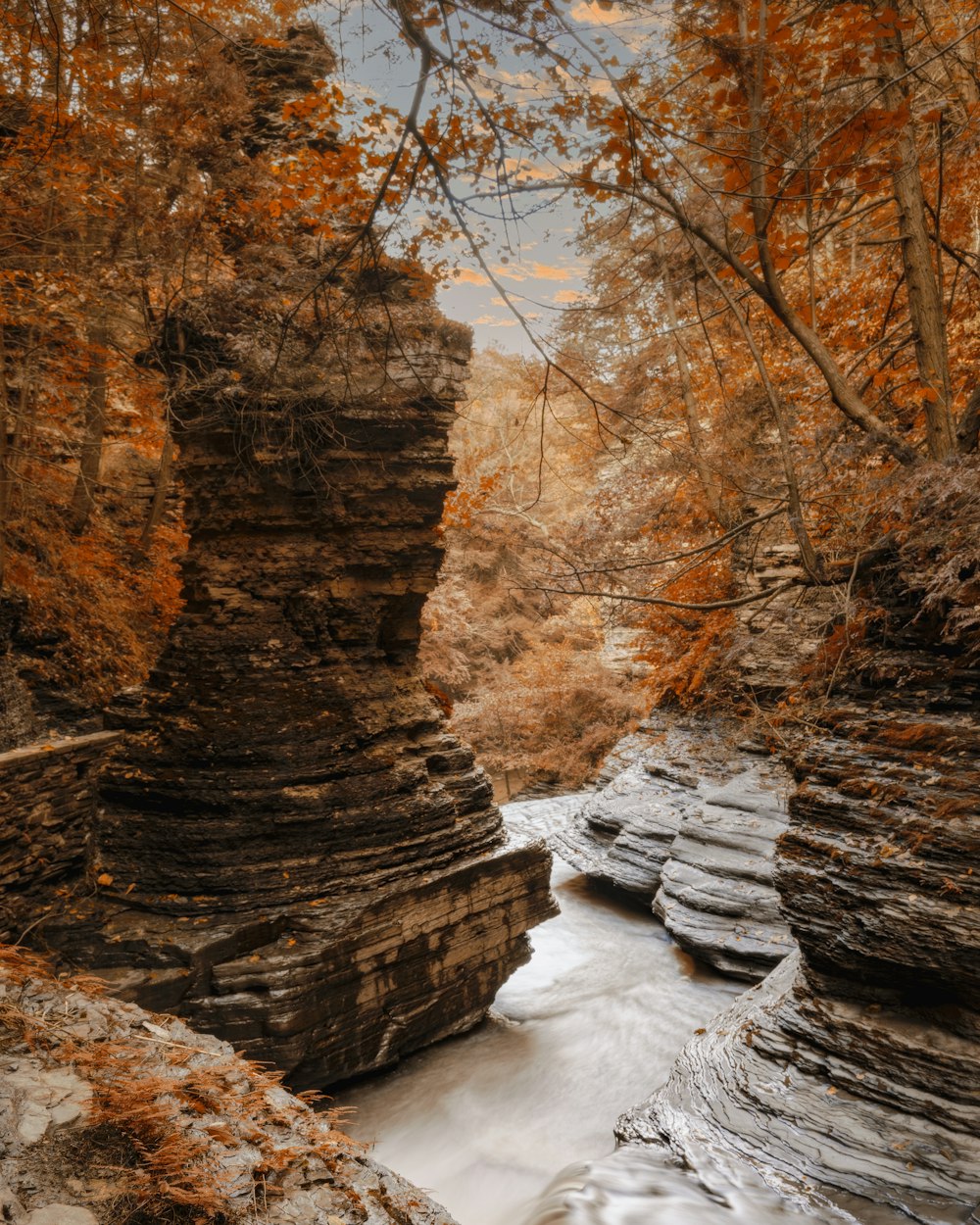 a river flowing through a canyon surrounded by tall rocks