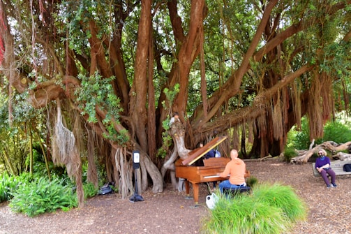 Close-up of a musician playing marimba surrounded by lush tropical forest