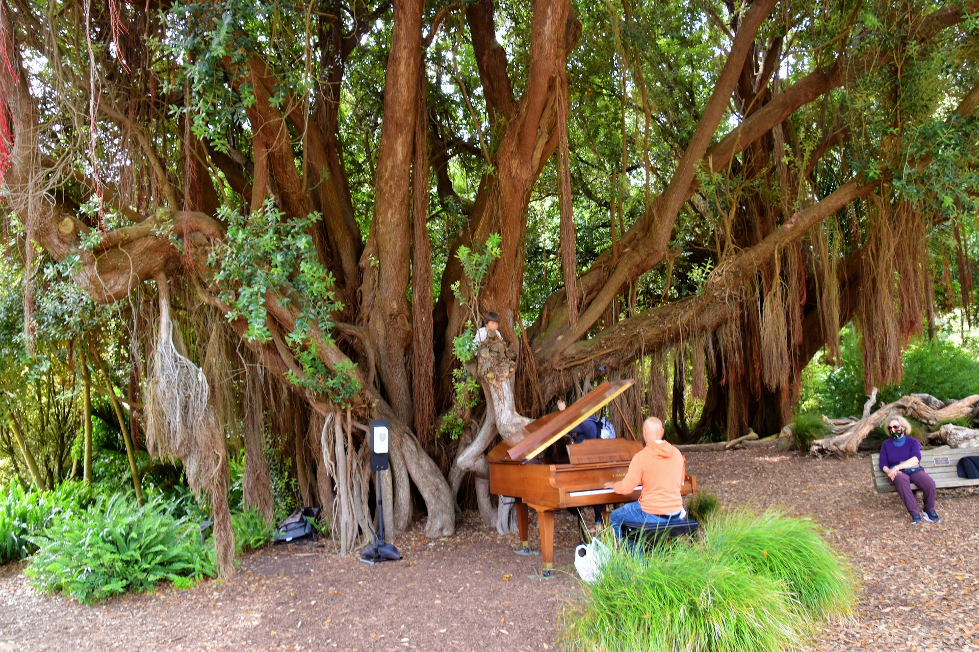 woman wearing yellow long-sleeved dress under white clouds and blue sky during daytime