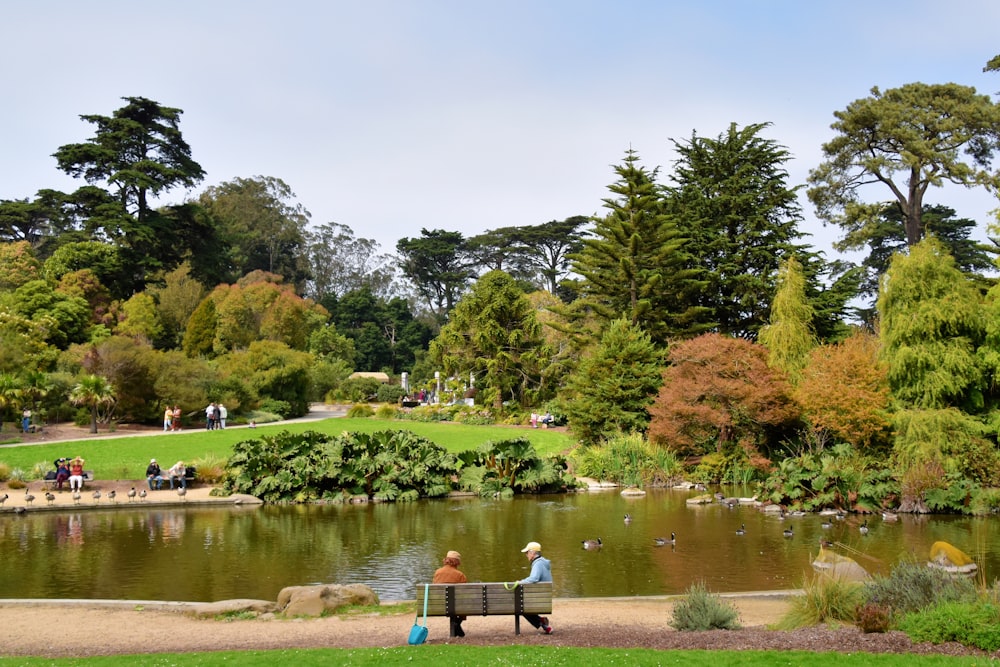 two people sitting on a bench near a pond