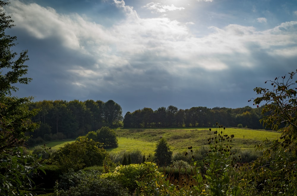 a lush green field surrounded by trees under a cloudy sky