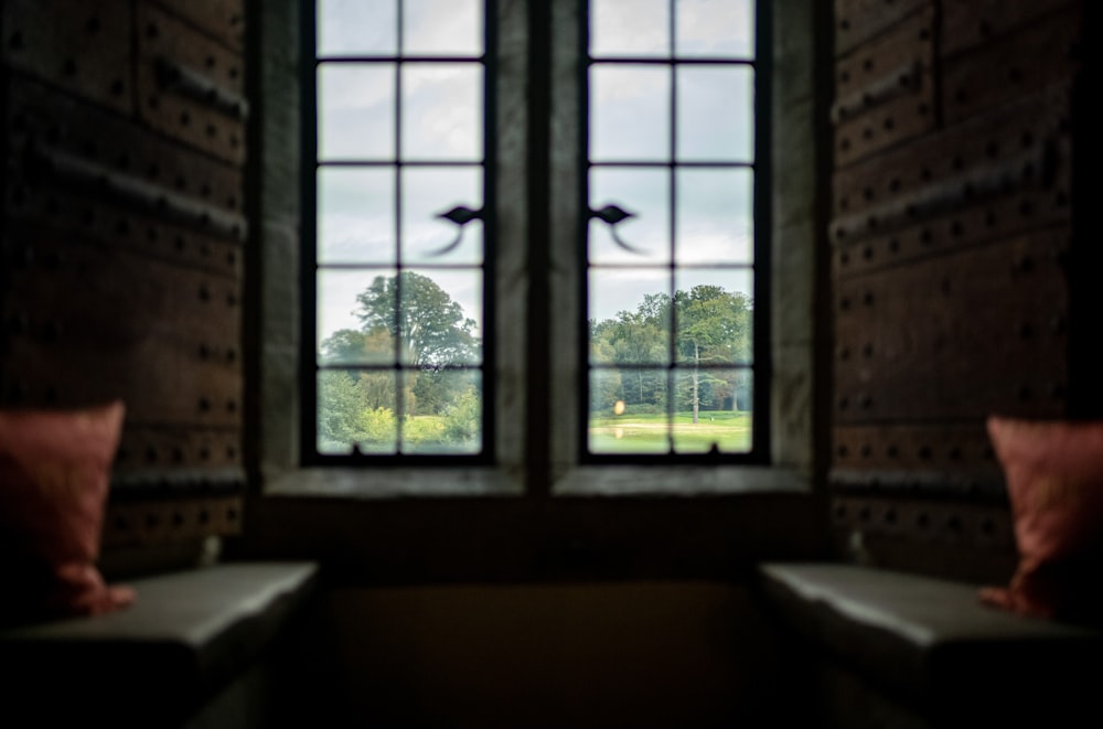 a window with a view of a grassy field