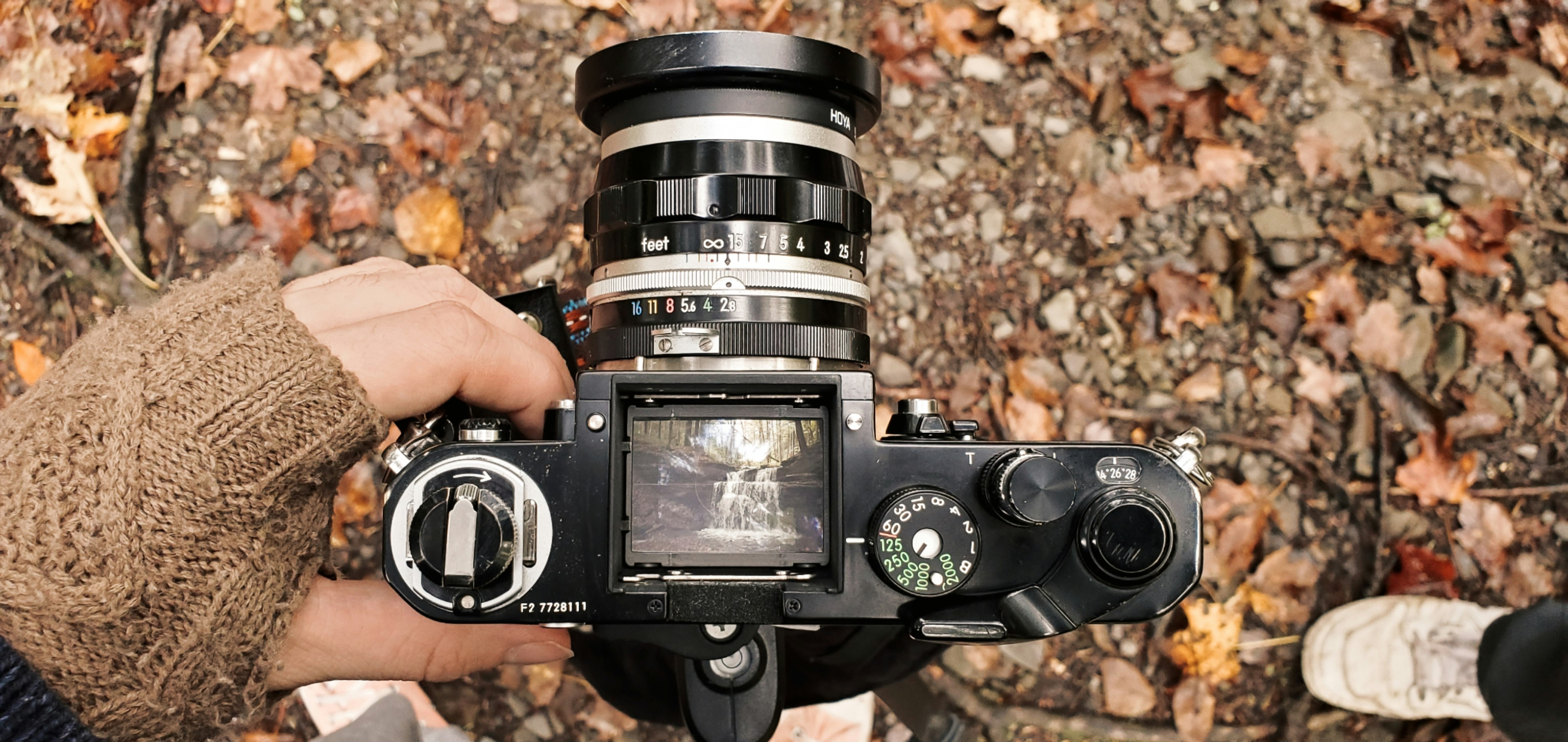 5 DSLR Camera Gear Reviews Highlighting Fast Autofocus for Sharp Images