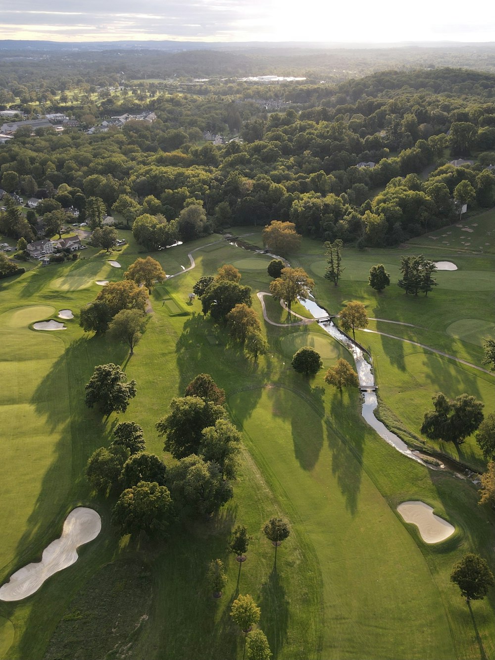 an aerial view of a golf course surrounded by trees