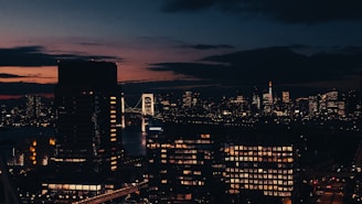 A sleek Istanbul skyline at dusk with modern high-rises and the Bosphorus Bridge glowing softly.