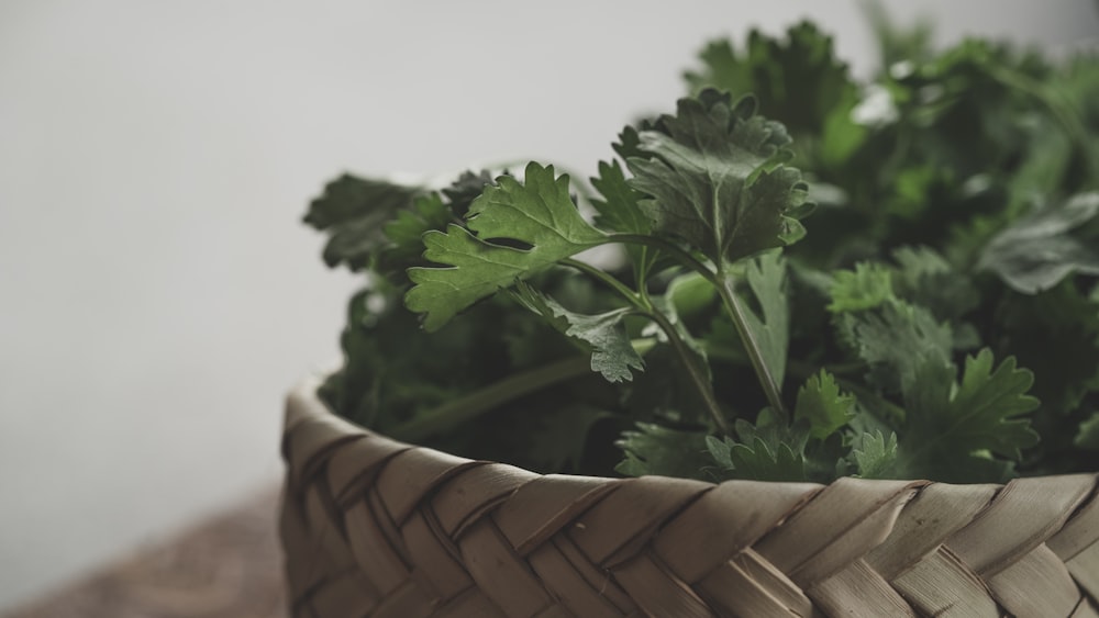 a close up of a basket of parsley