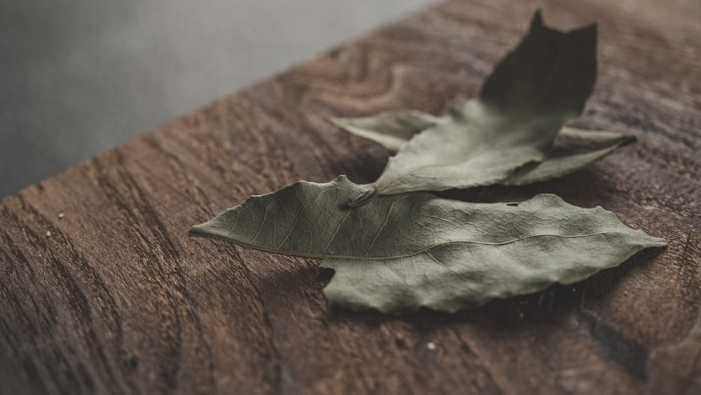 a couple of leaves that are on a table